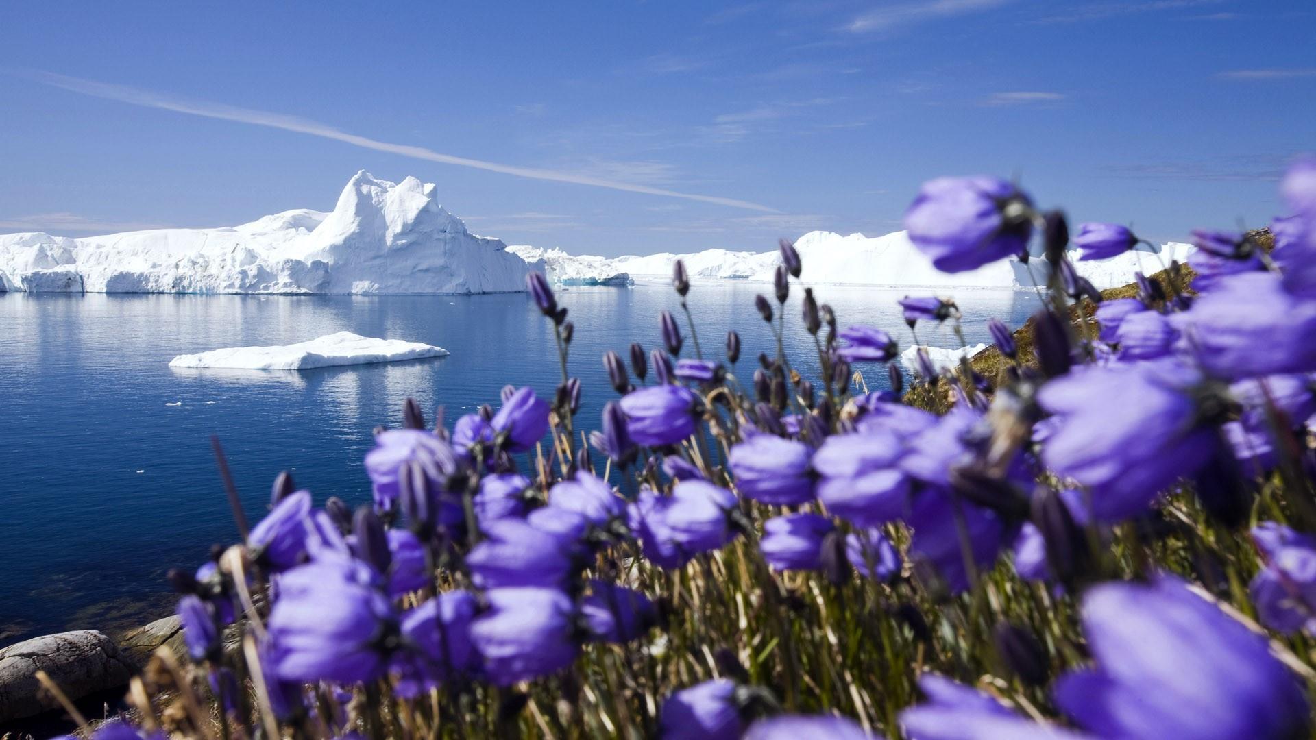 Greenland Landscape Wallpapers Top Free Greenland Landscape