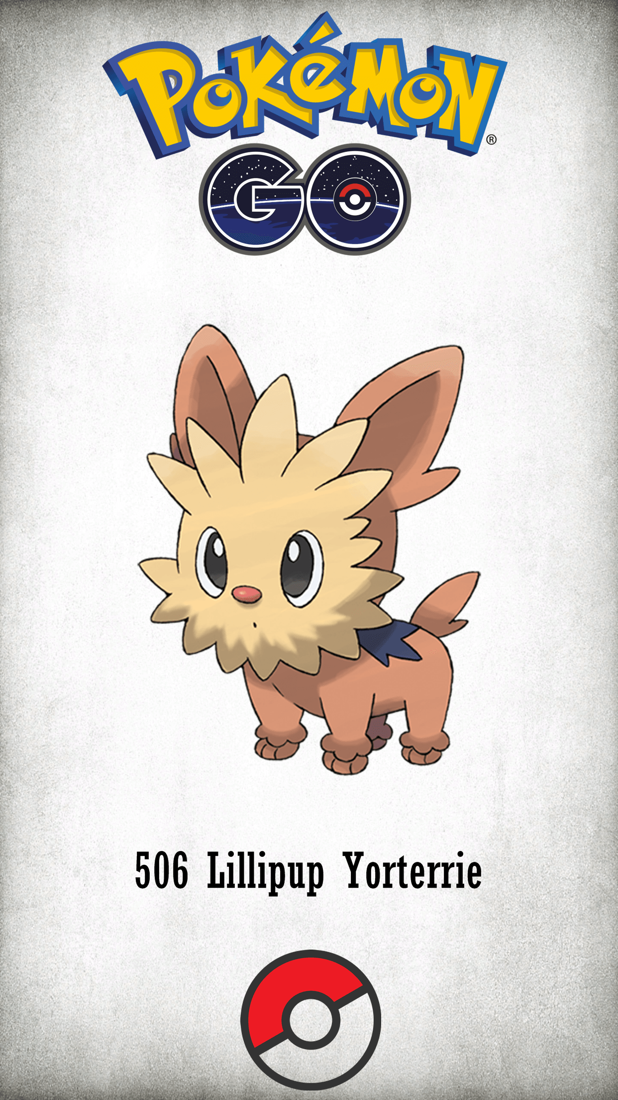1242x2208 Lillipup HD Wallpaper