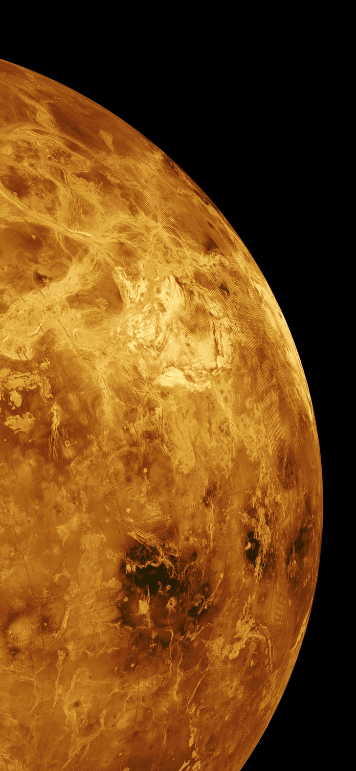 728x1576 Venus Phone Wallpaper
