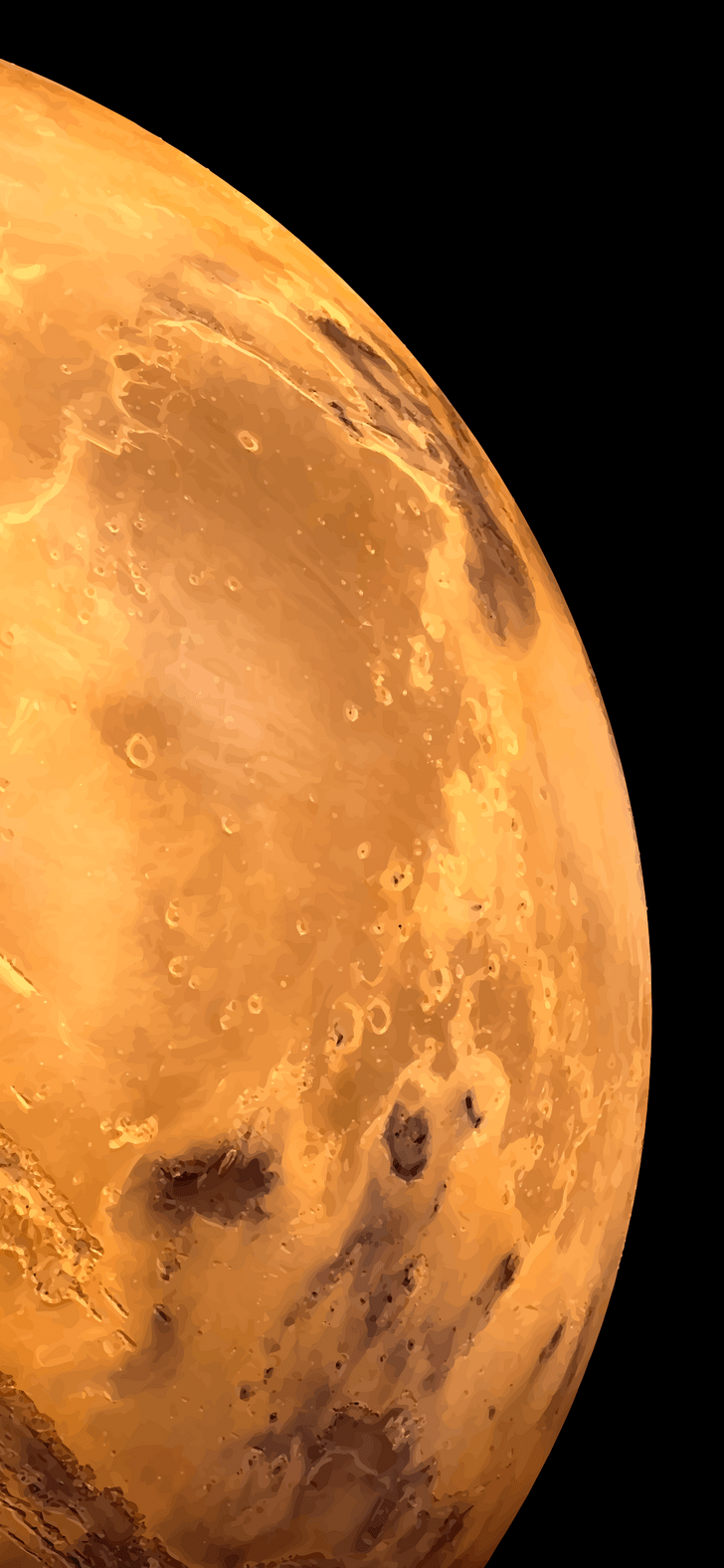 728x1576 Venus Phone Wallpaper