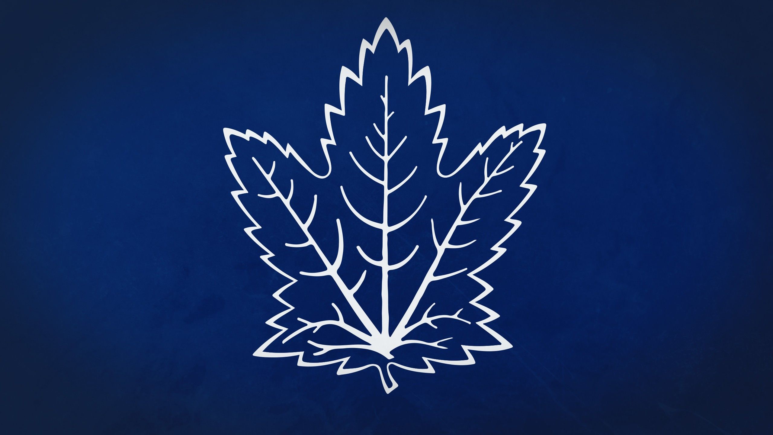 2560x1440 Toronto Maple Leafs HD Wallpaper: A Touch of Sports Elegancex1440