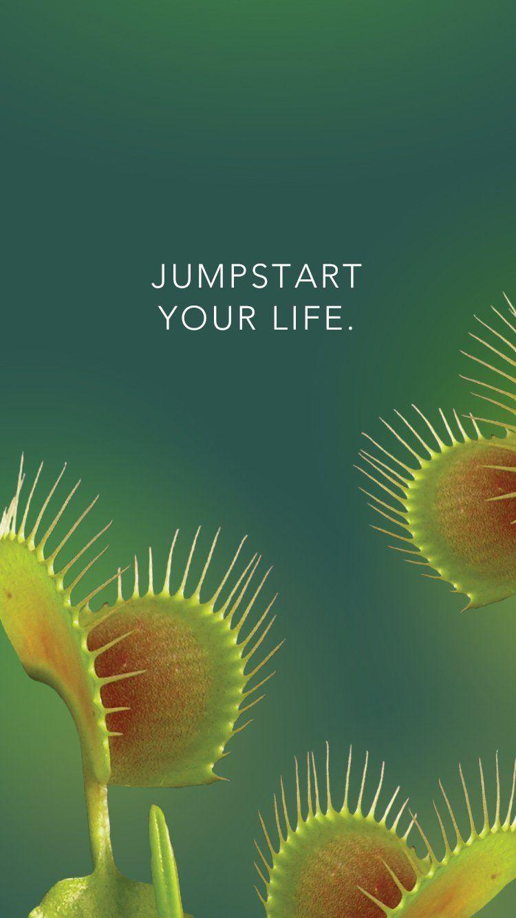 750x1334 VENUS FLYTRAP GOODIES