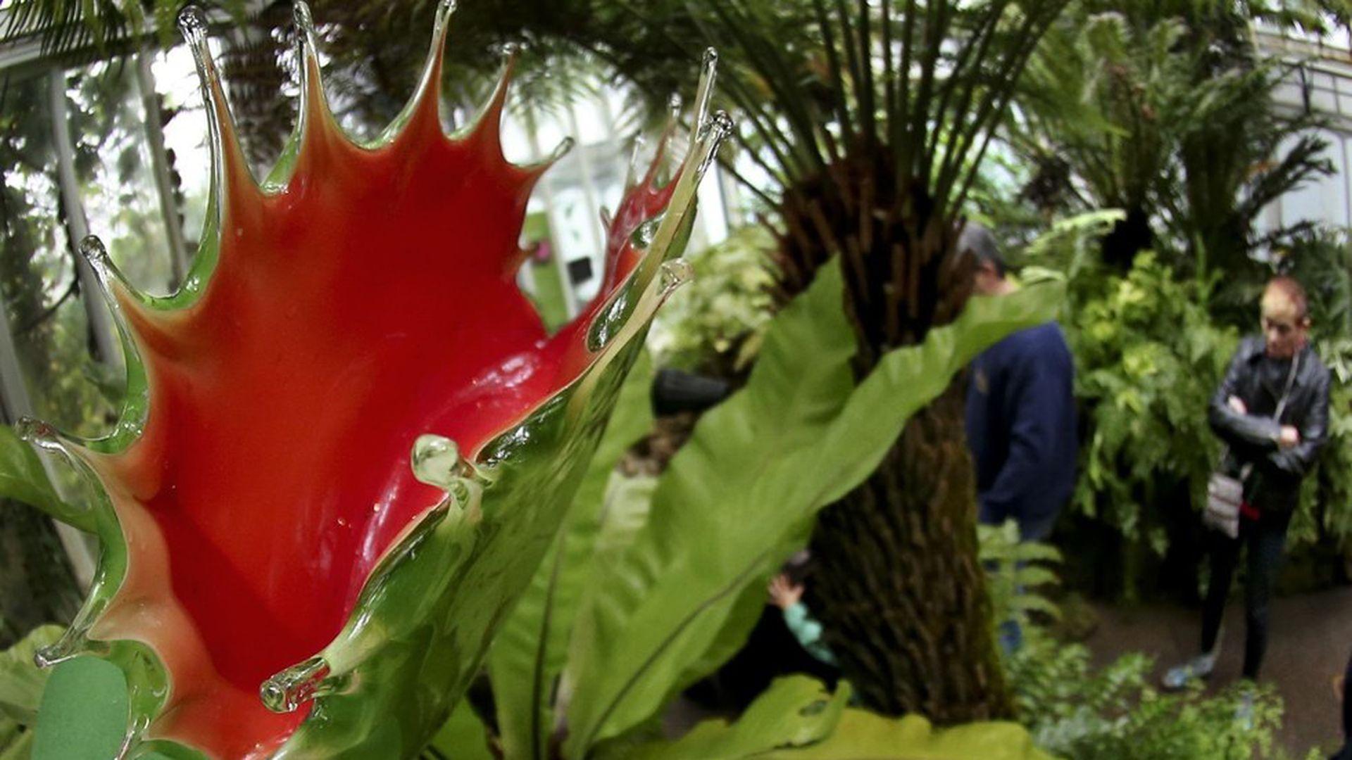 1920x1080 Scientists have created an artificial Venus flytrap