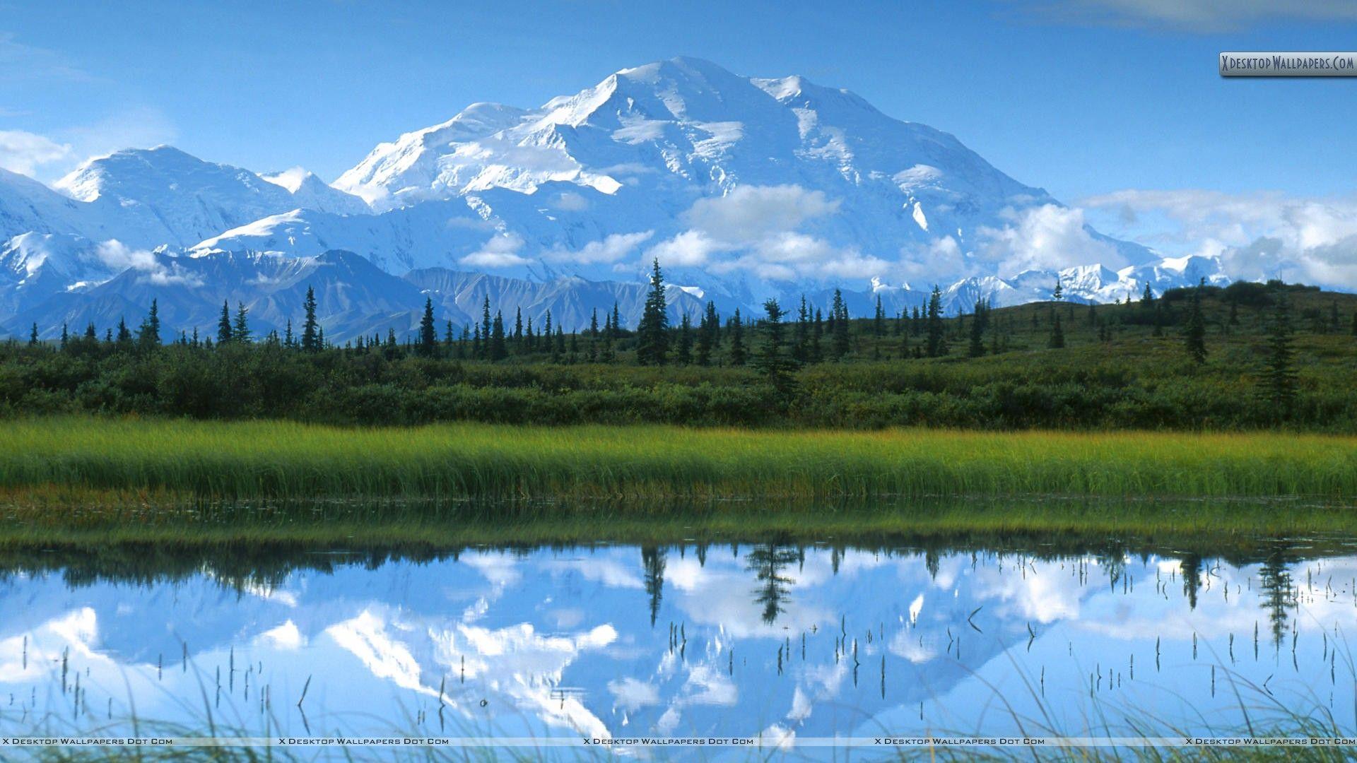 1920x1080 Free download Reflections Mount McKinley Denali National Park Alaska Wallpaper [1920x1080] for your Desktop, Mobile & Tablet. Explore Wallpaper Denali. Wallpaper Denali