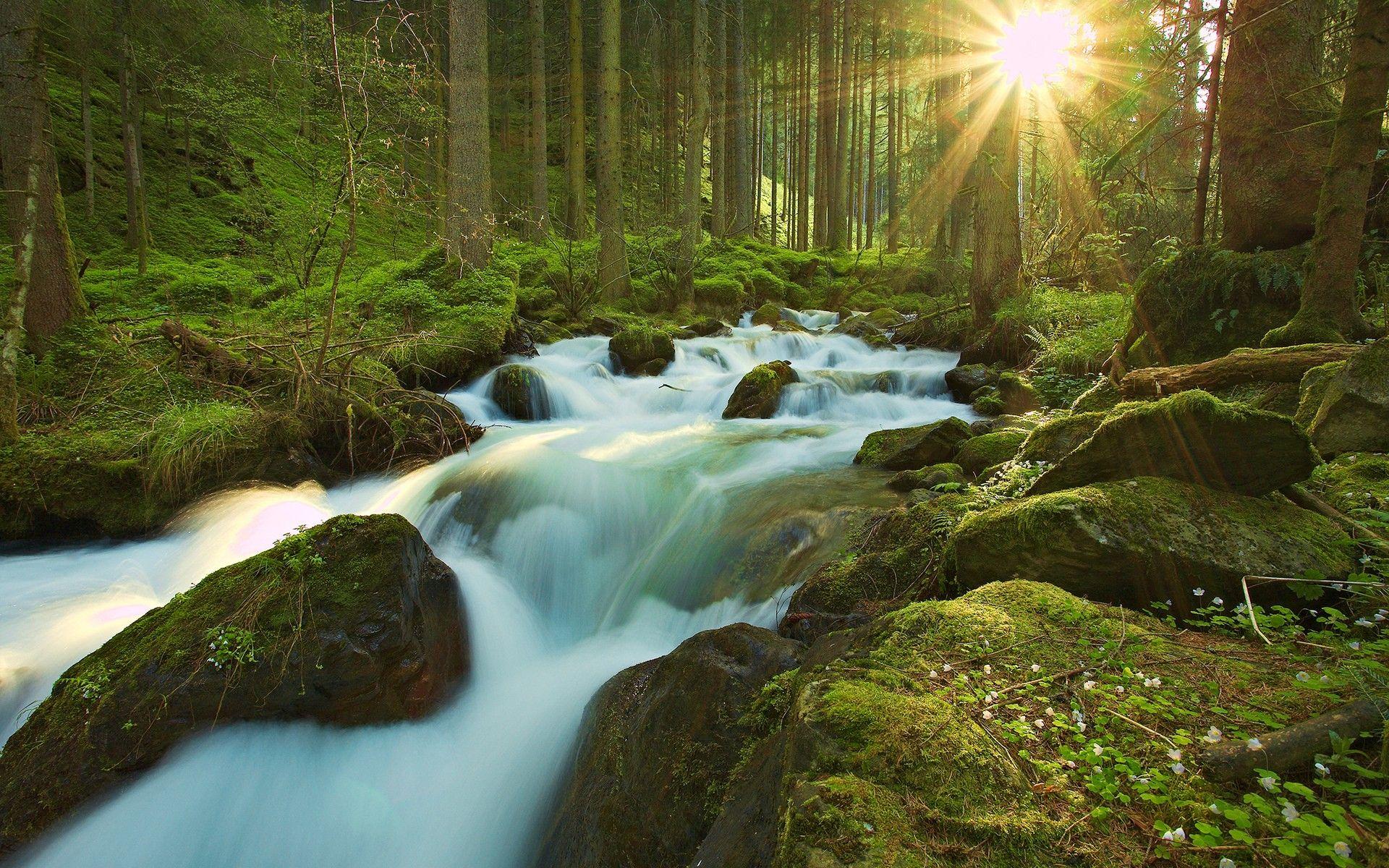1920x1200 Hd Wallpaper For Mac Widescreen Dw Wallpaperun HD Wallpaper For Mac