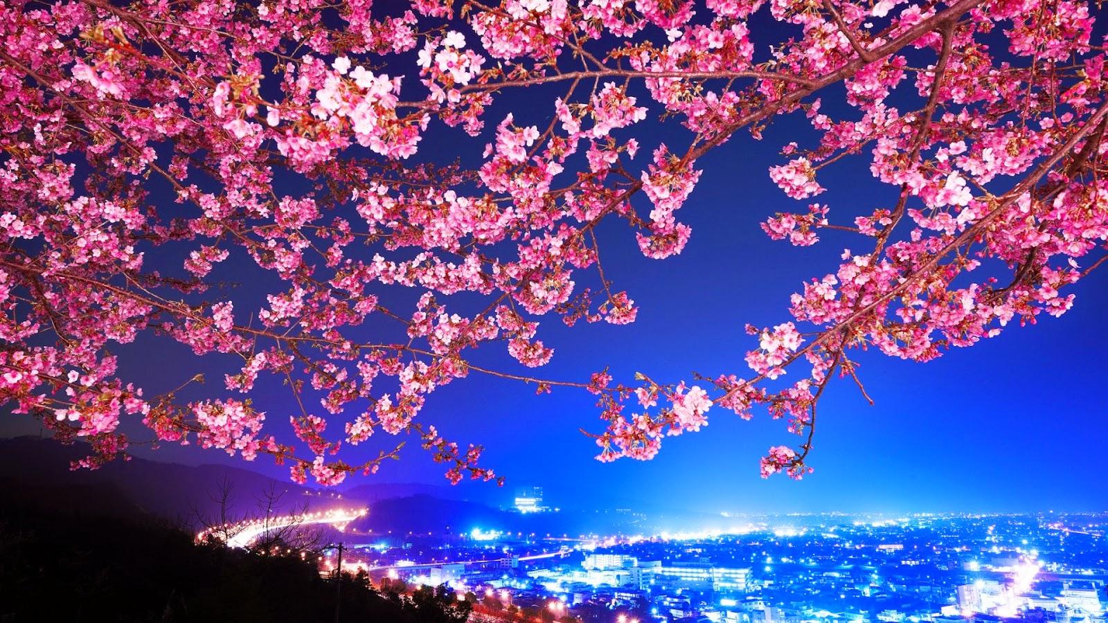 1600x900 Nature Wallpaper For Mac (1600x900)