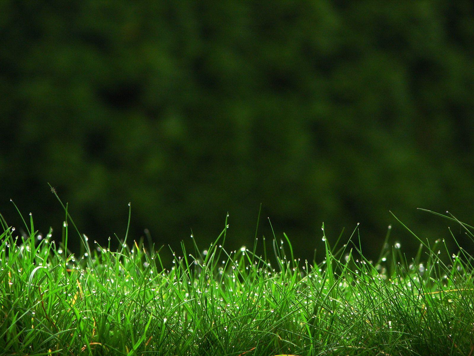 1600x1200 hd nature wallpaper for mac. Nice Pics Gallery