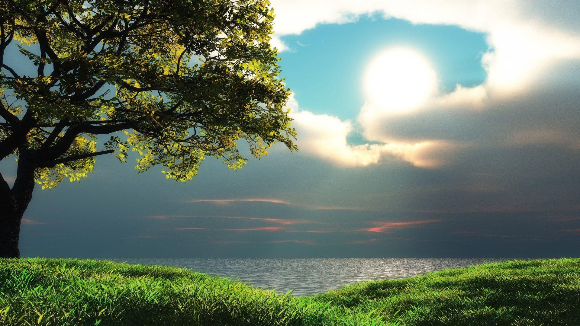 1920x1080 Nature Background for Mac
