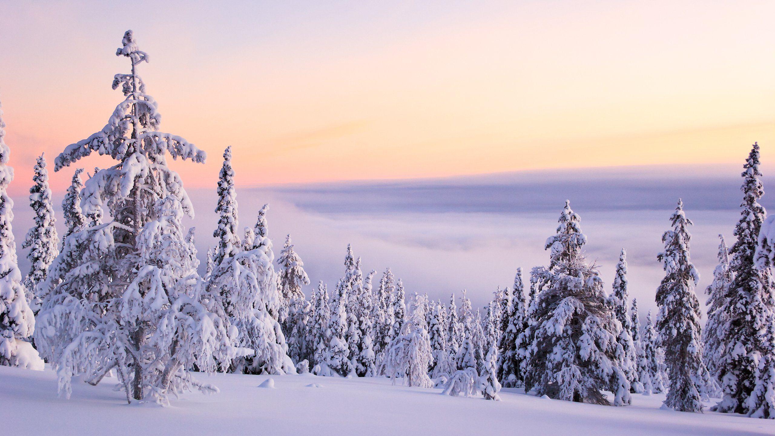 2560x1440 Hd Nature Wallpaper For Mac Wallpaper Wallpaper For Mac