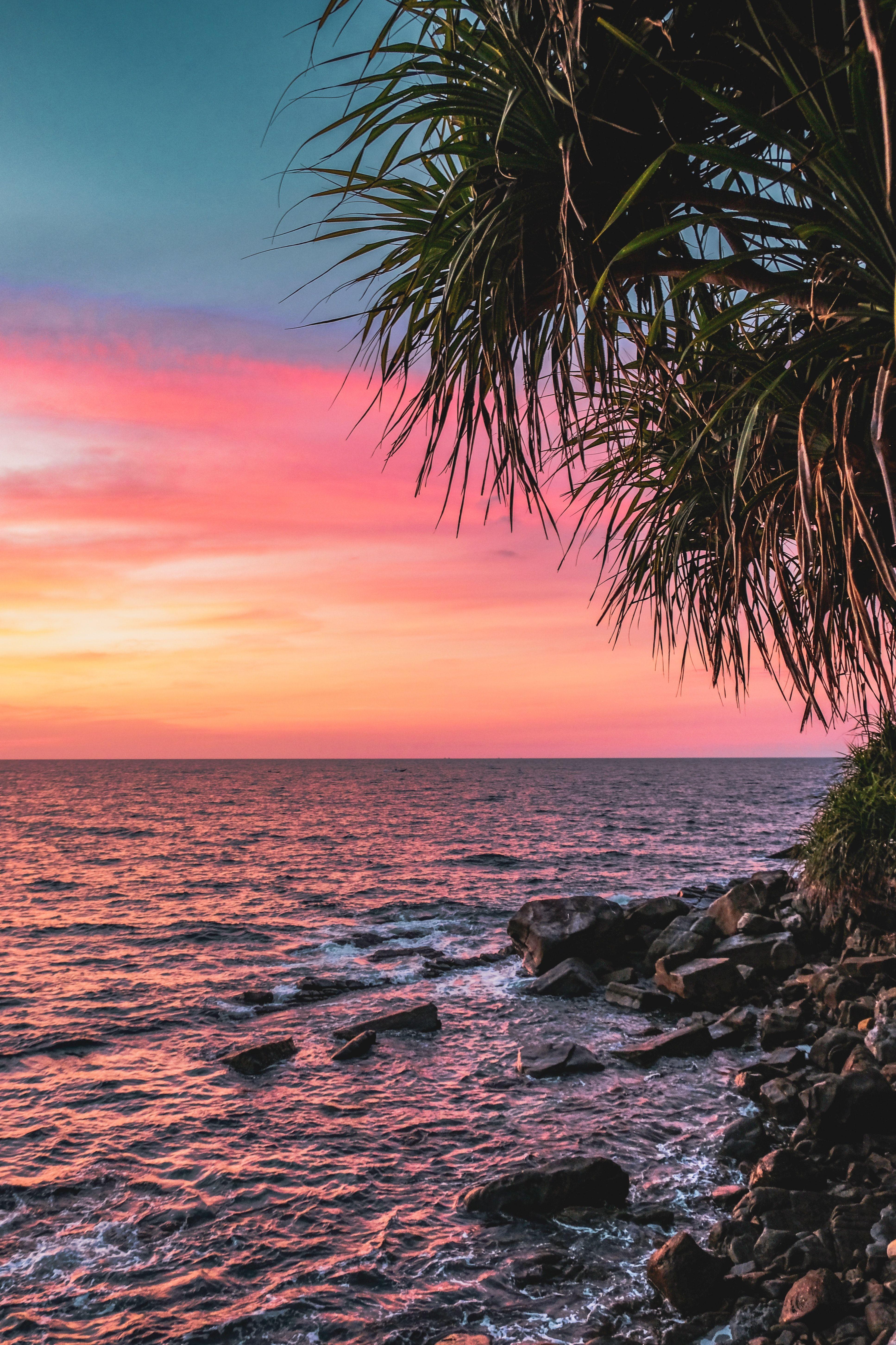 3869x5804 Kota Kinabalu, Sabah, Malaisie. Dream Travel 2020. Summer picture, Aesthetic picture, Aesthetic wallpaper