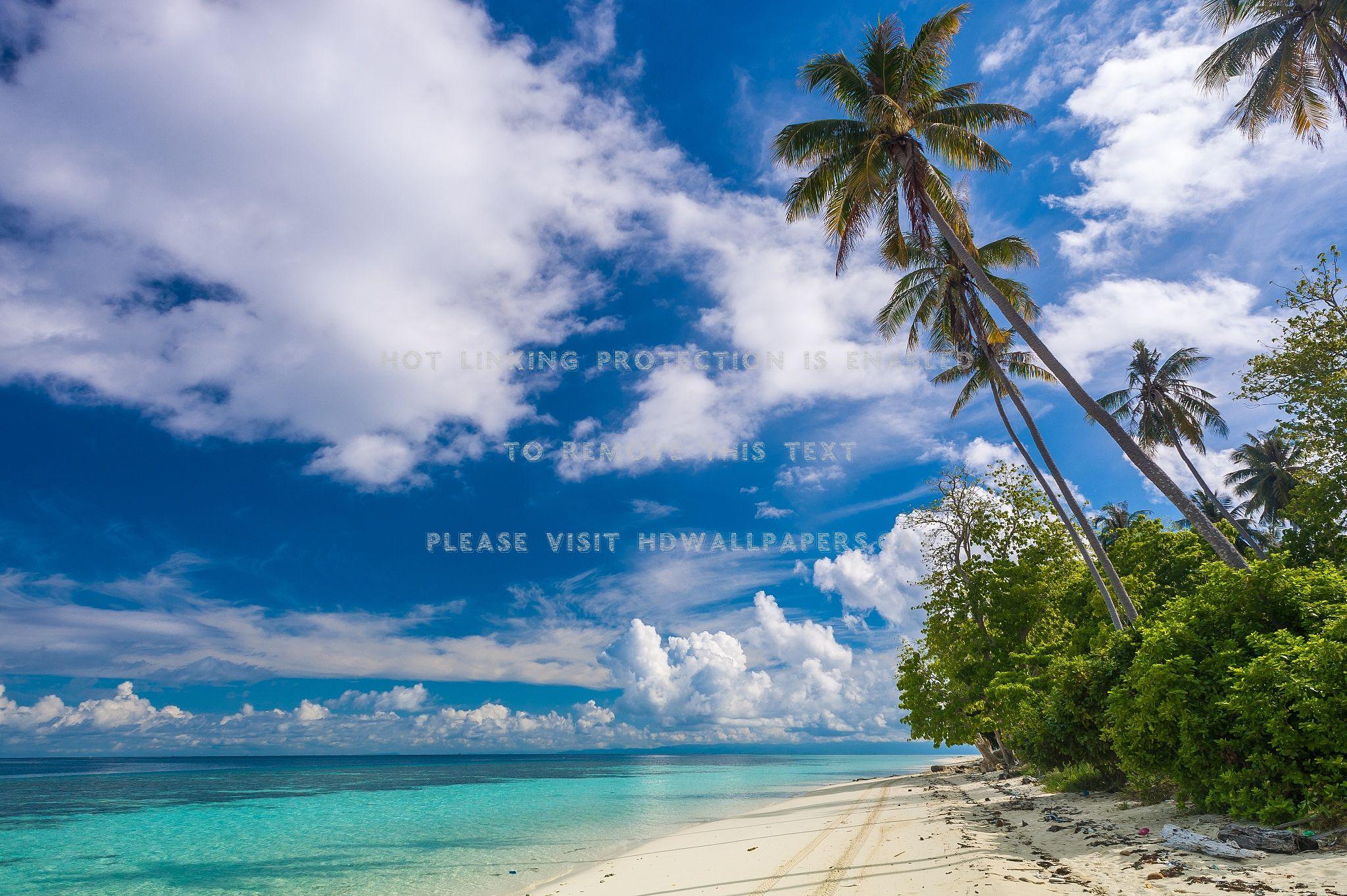 2048x1363 tropical paradise sabah ocean malaysia sand