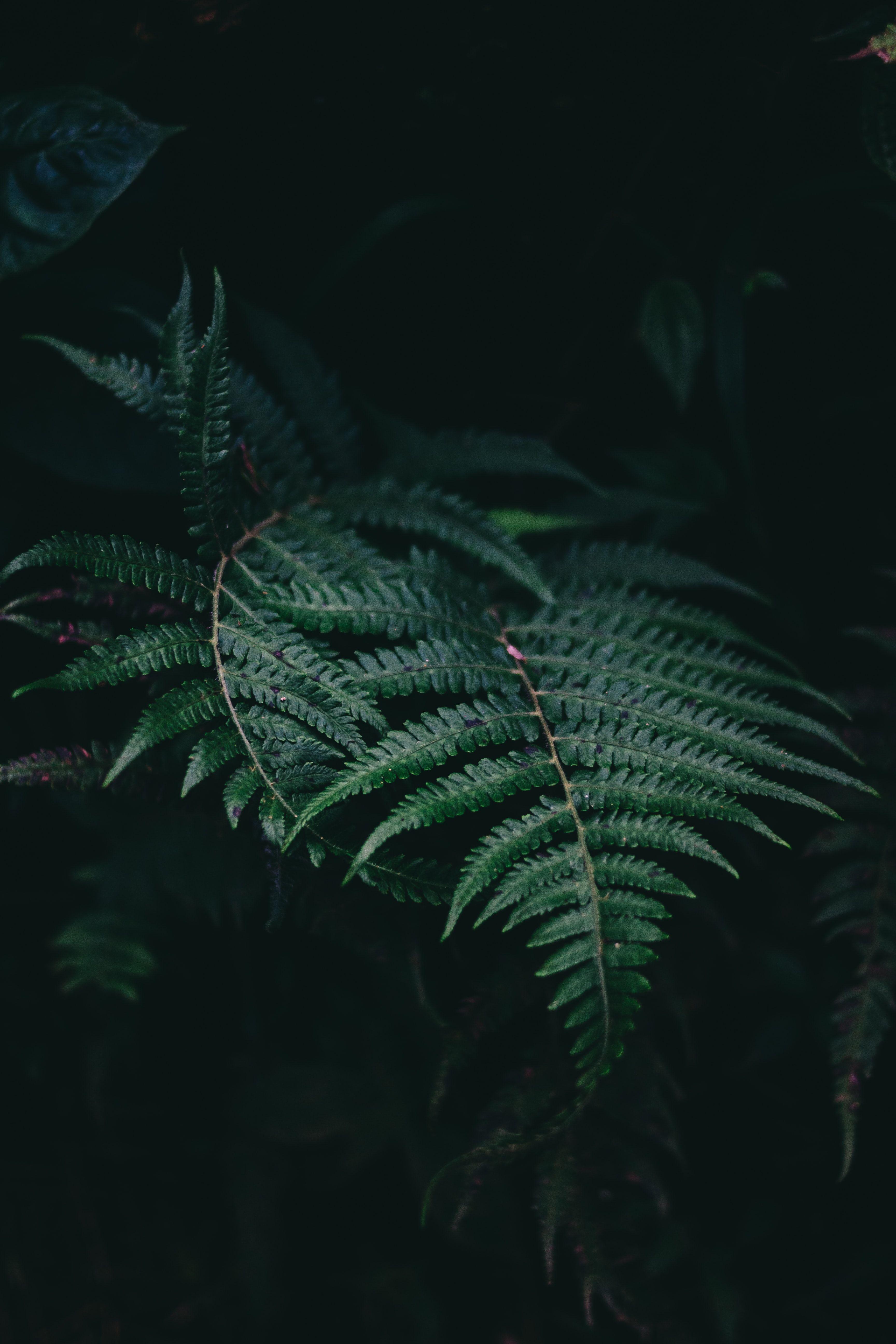 3456x5184 iPhone X Wallpaper best free wallpaper, background, outdoor and grey photo
