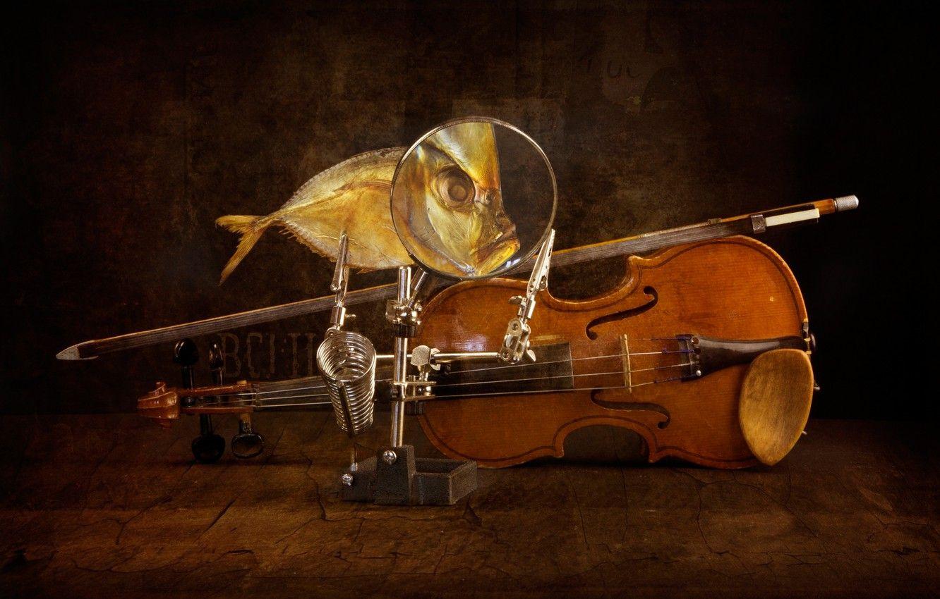 1332x850 Wallpaper violin, fish, art, bow image for desktop, section разное
