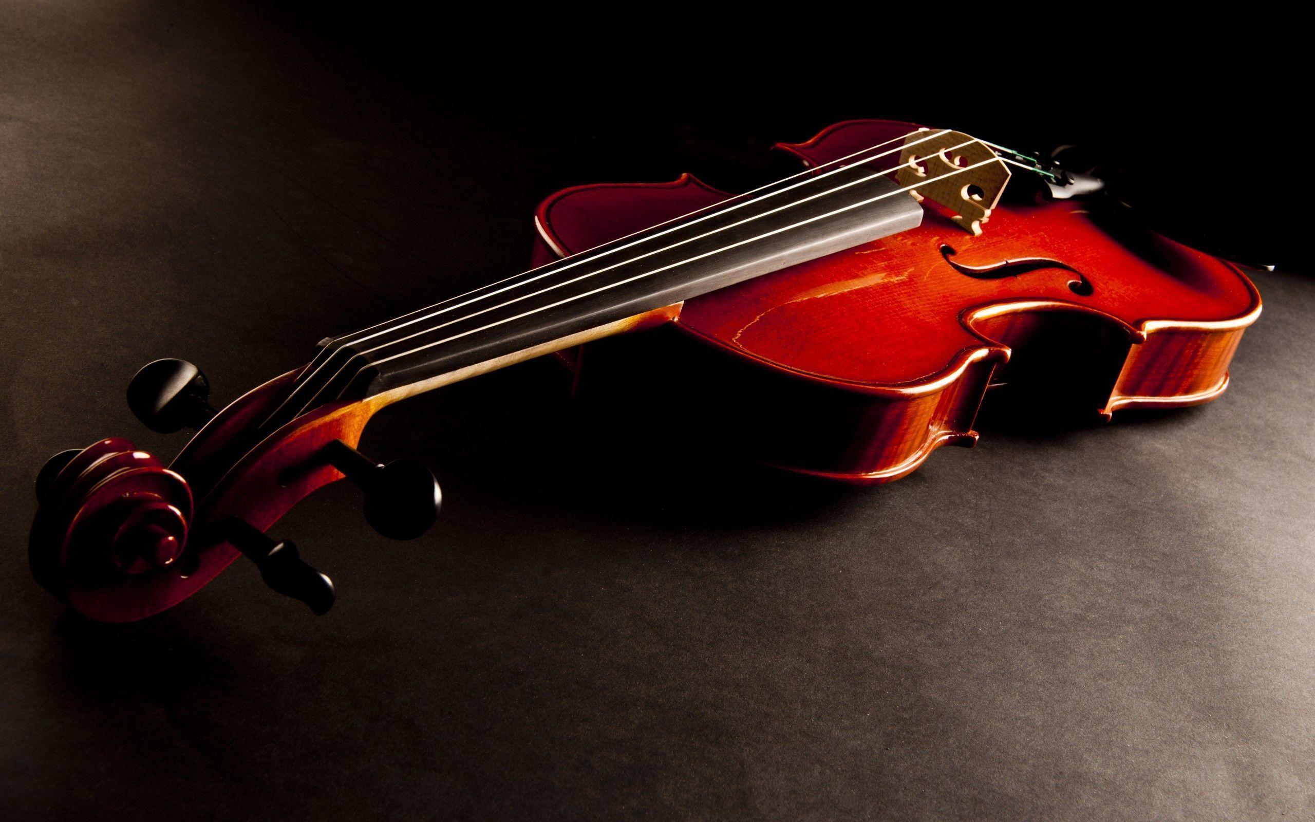 2560x1600 Violin FREE Picture