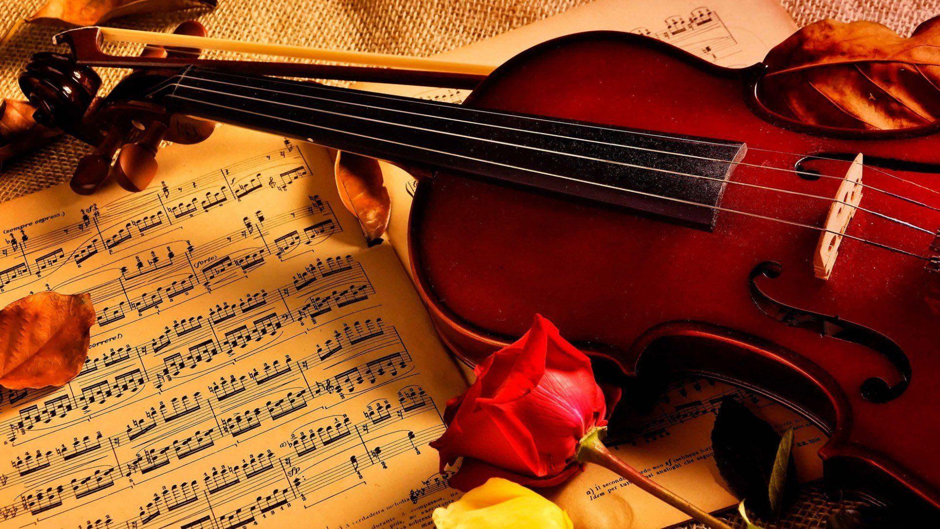 1920x1080 px Beauty music Notes rose Violin High Quality Wallpaper, High Definition Wallpaper