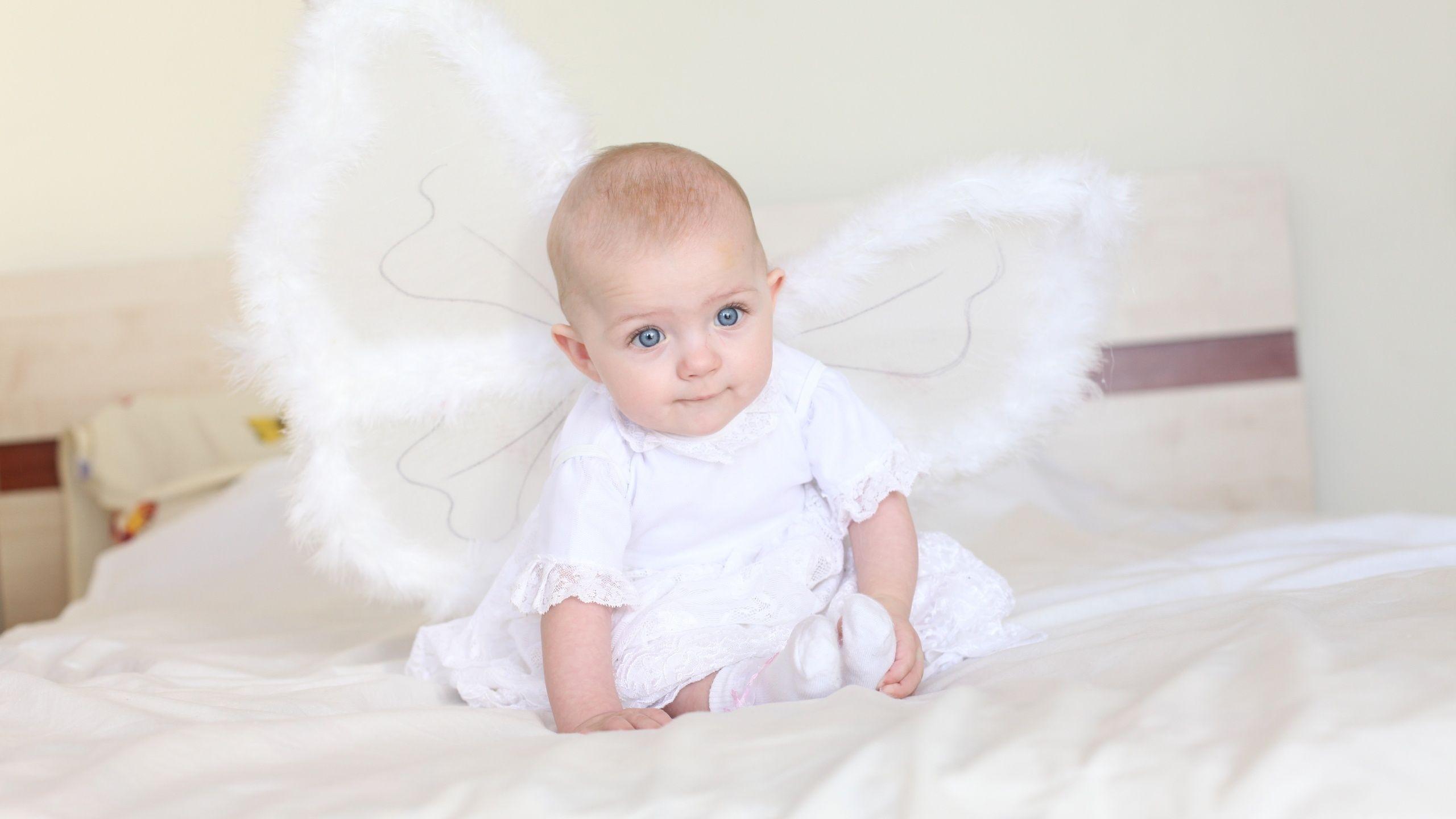 2560x1440 Little Angel Wallpaper