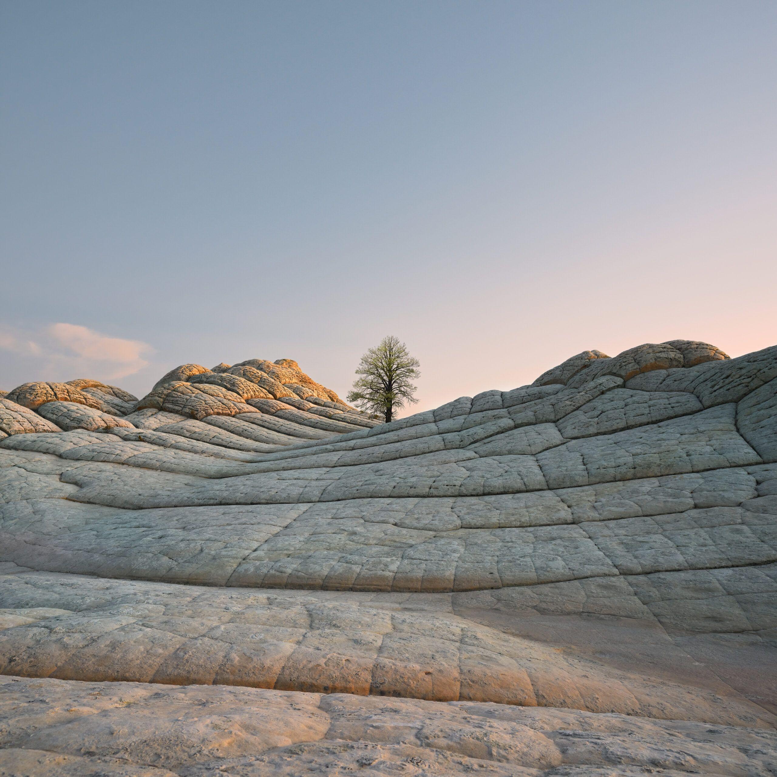 2560x2560 iOS 14.2 beta 4 includes 16 new wallpaper, download them here
