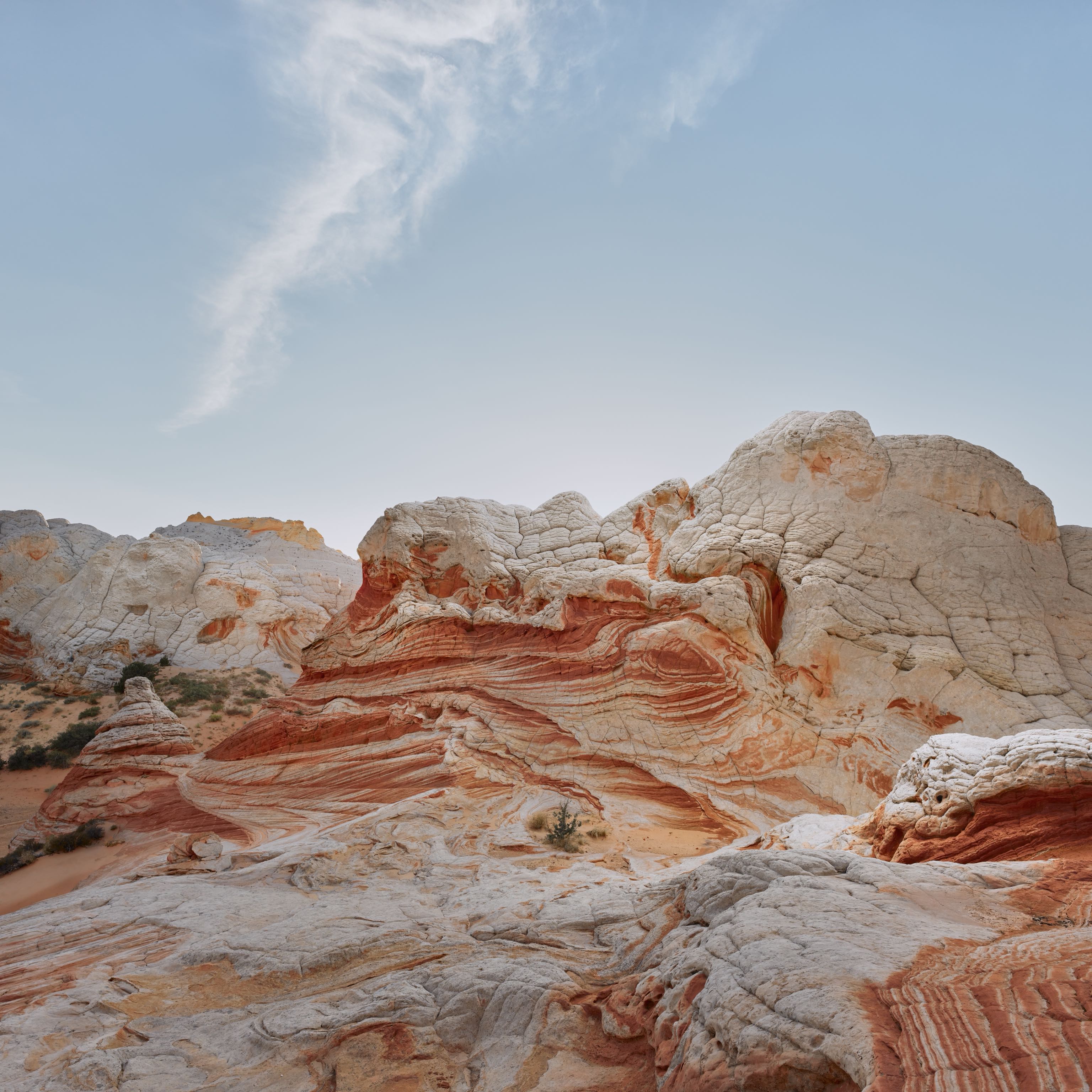 3072x3072 Download the new iOS 14.2 wallpaper