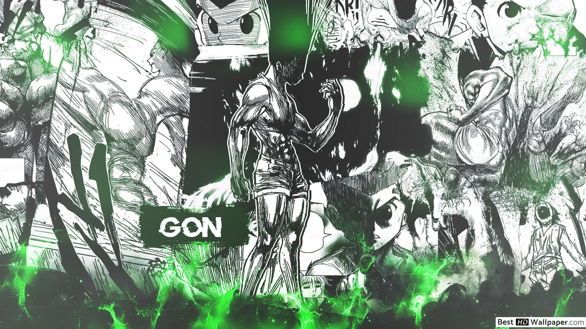 1920x1080 Gon Vs Pitou