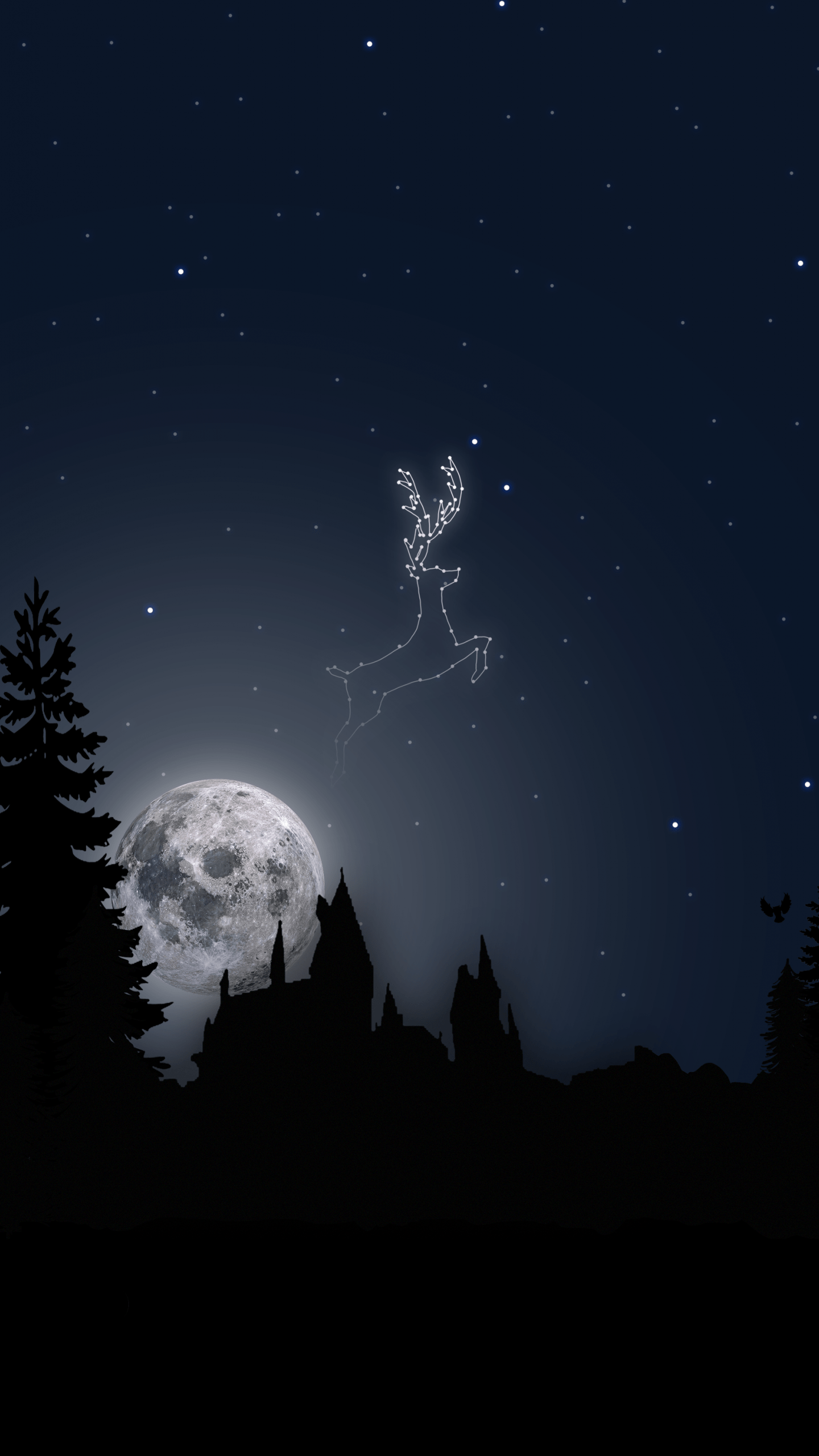 1440x2560 Hogwarts themed mobile wallpaper