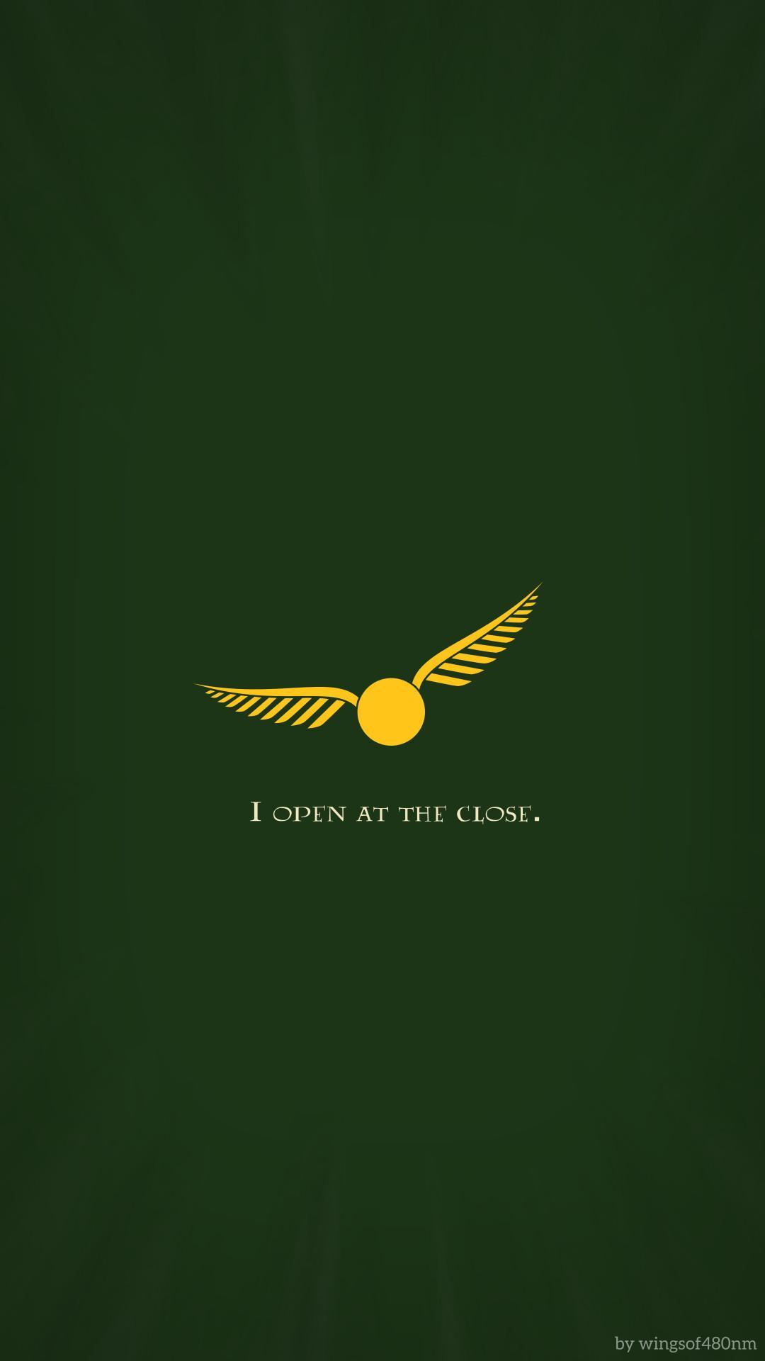 1080x1920 Harry Potter Ravenclaw Wallpaper