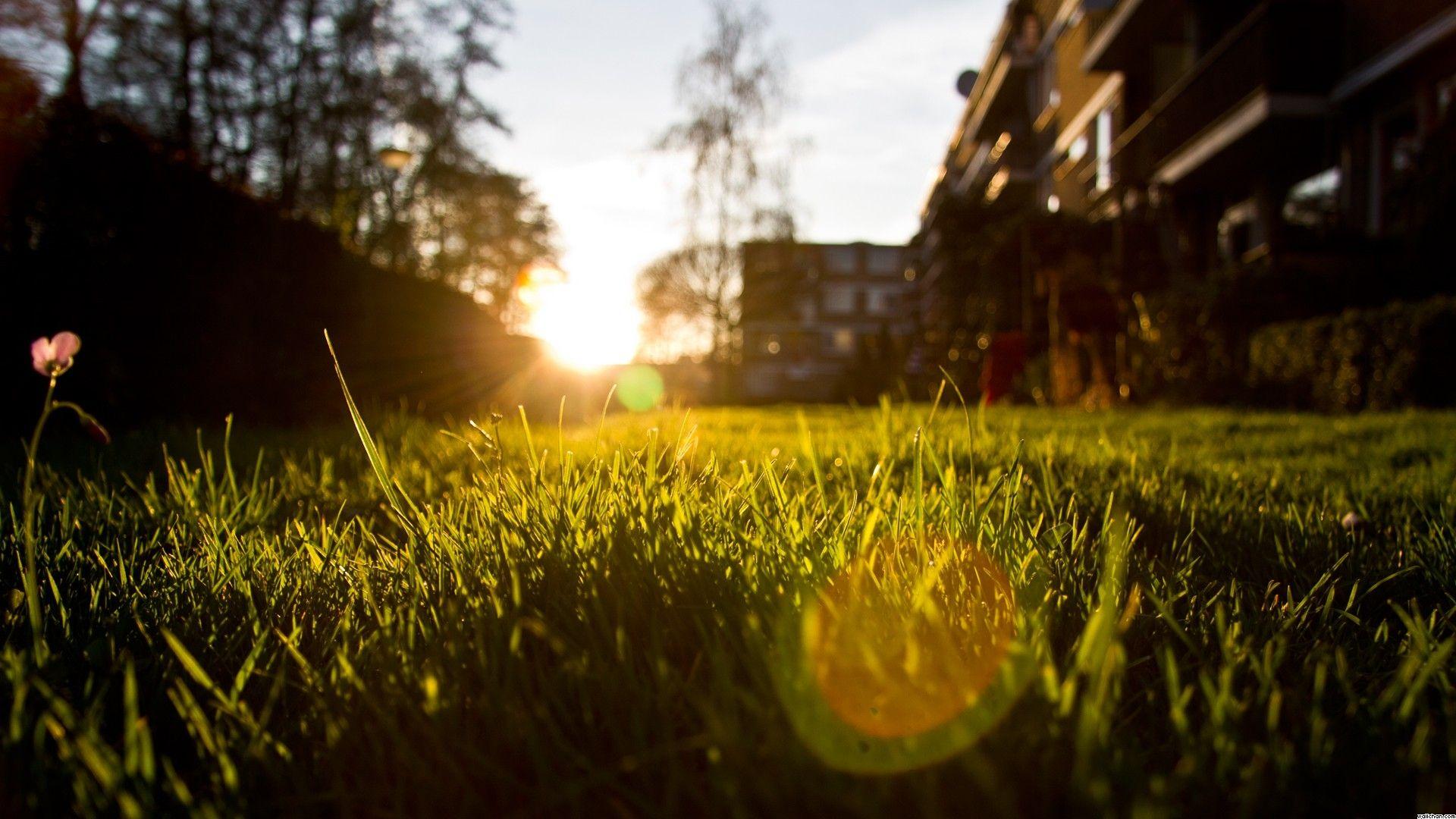 1920x1080 Wallpaper, sandbox, backyard, paper, field, house, grass, green, sunrise, flower, image, houses