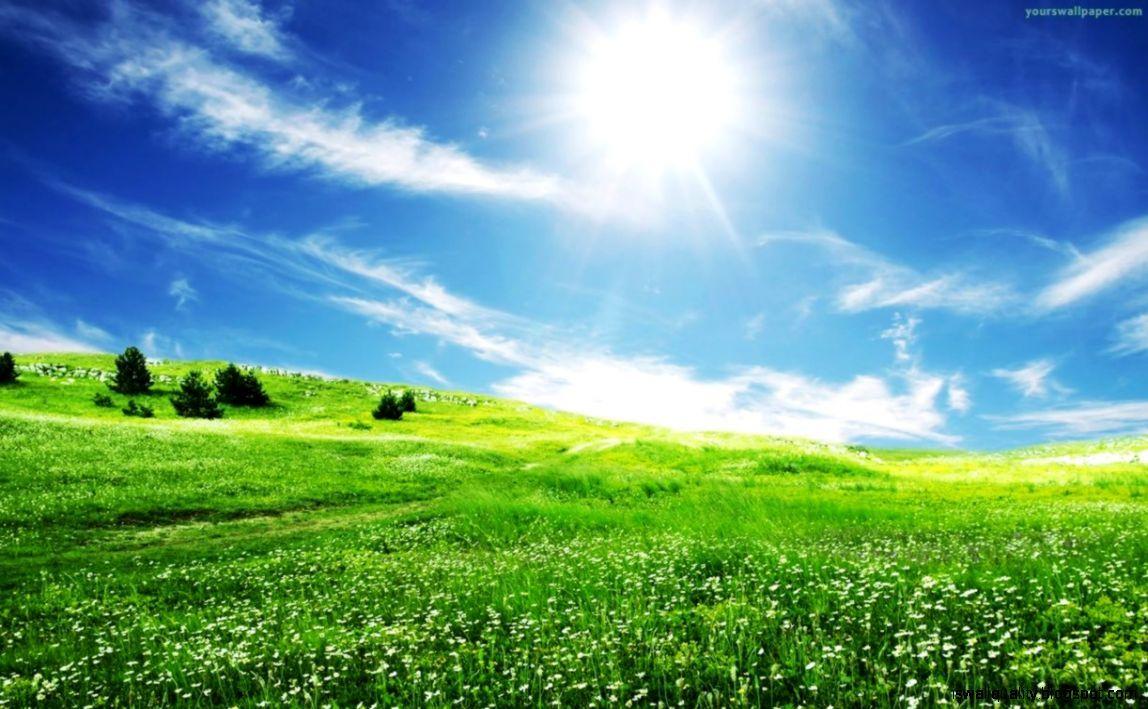 Green Sunrise Wallpapers - Top Free Green Sunrise Backgrounds