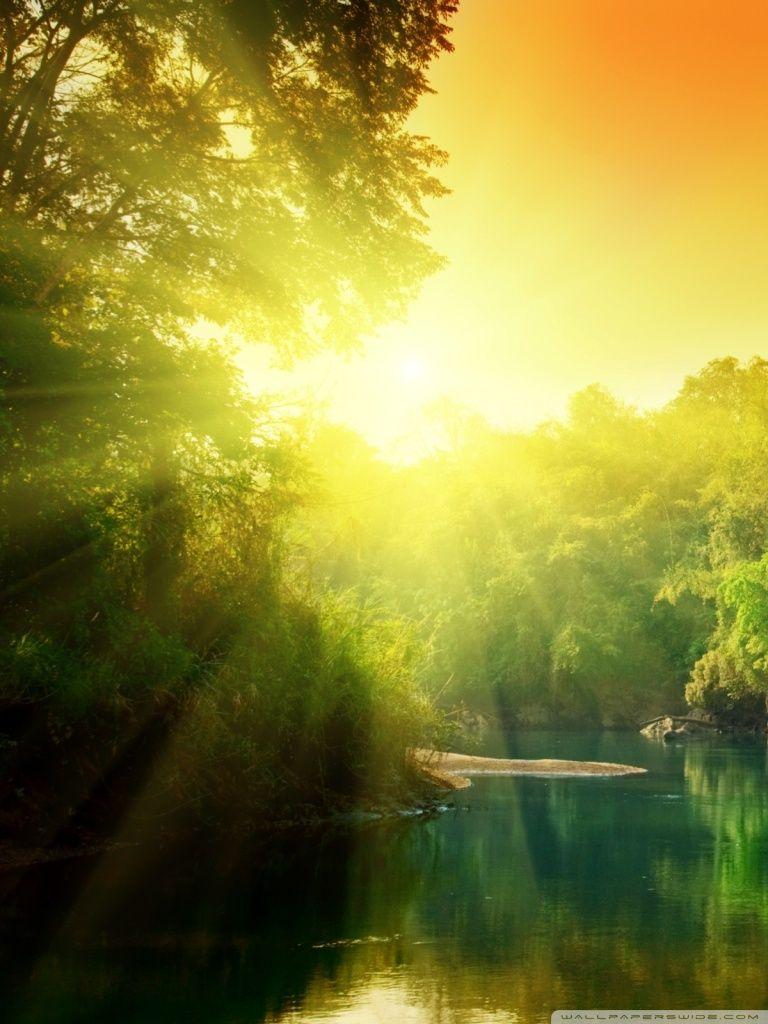 768x1024 Lush Green Forest River At Sunrise Ultra HD Desktop Background Wallpaper for 4K UHD TV : Multi Display, Dual Monitor : Tablet