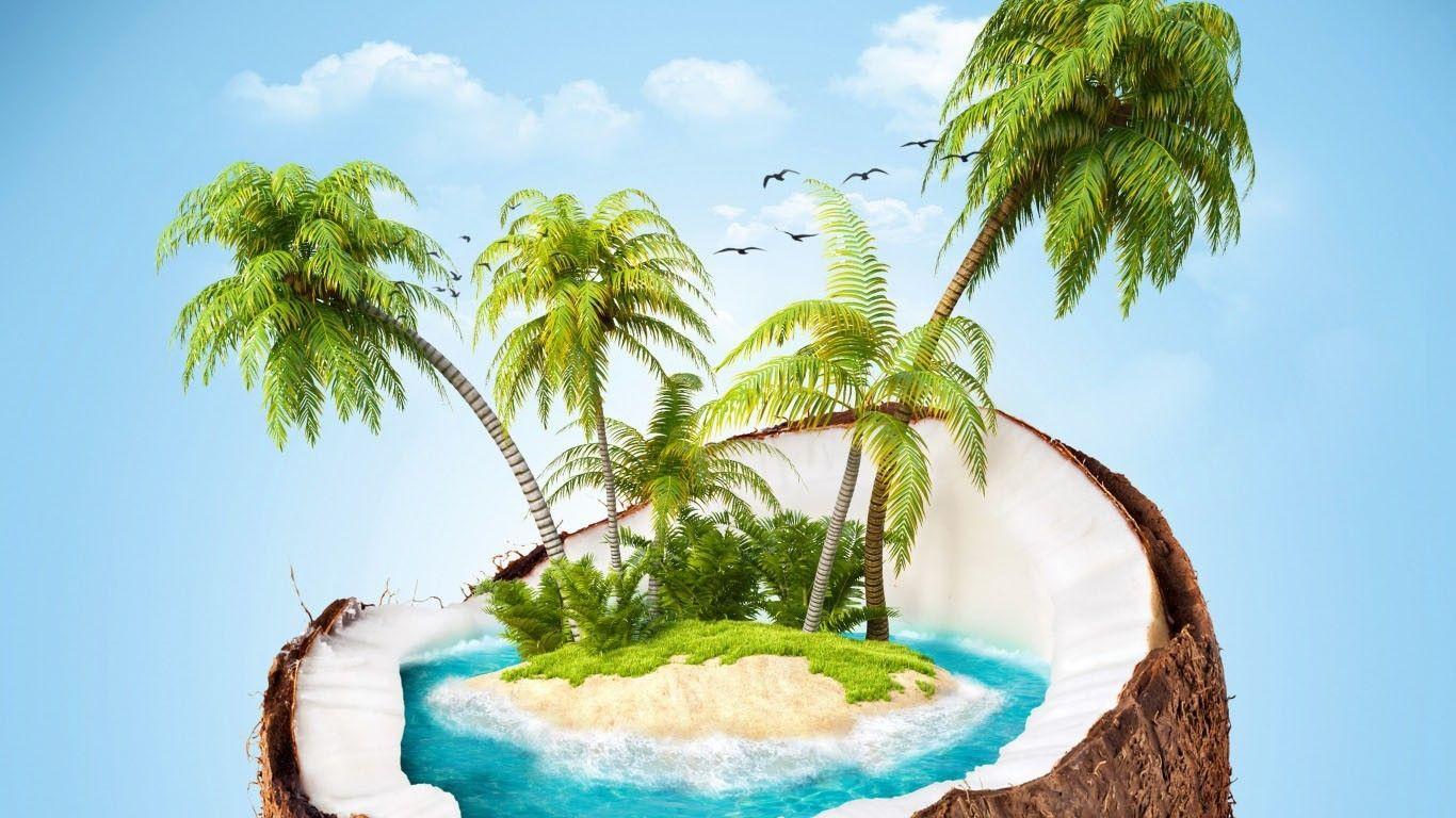 1366x768 Coconut Wallpaper. Coconut Leaves Wallpaper, Coconut Wallpaper and Coconut Tree Wallpaper