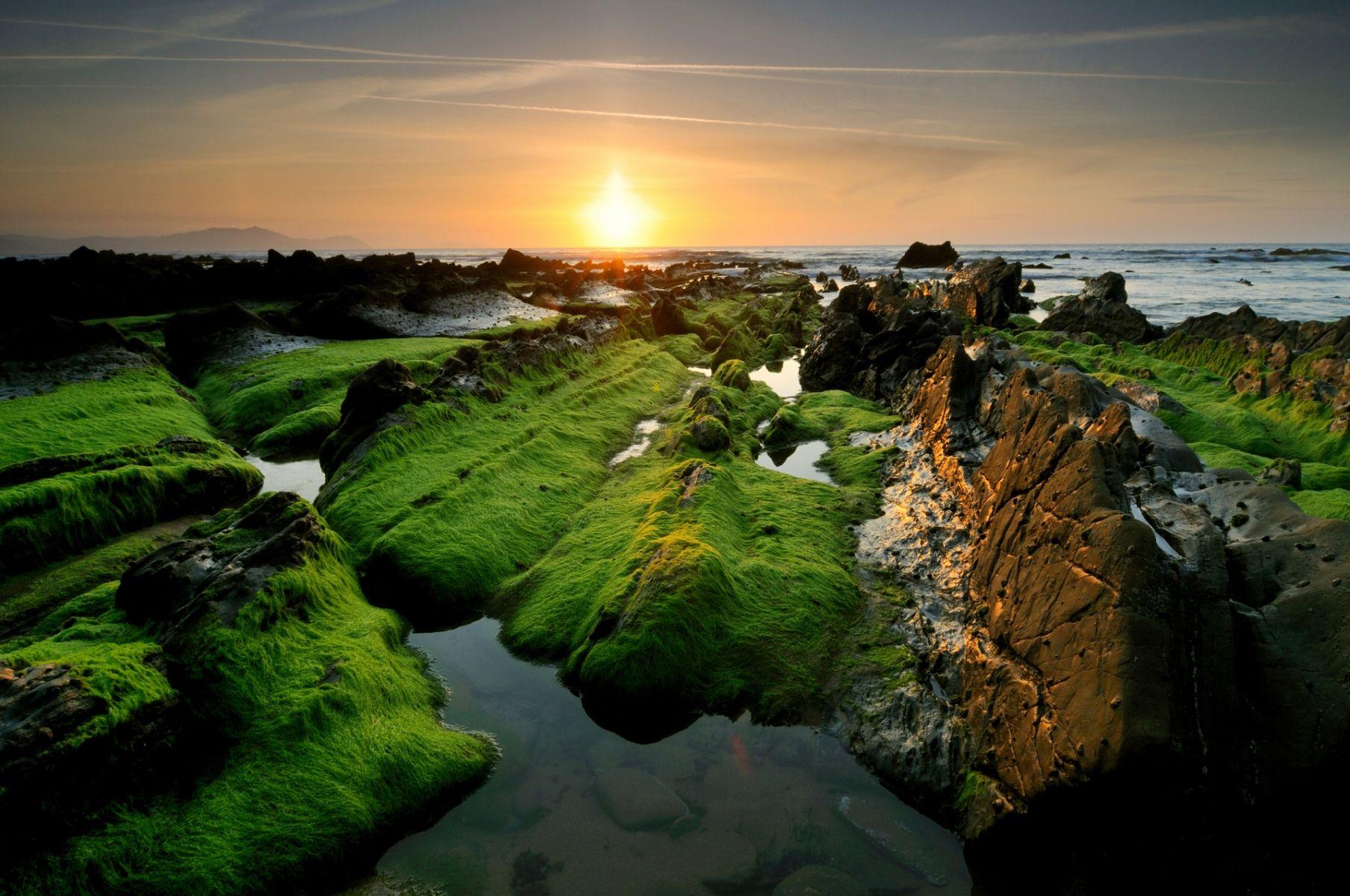 1808x1200 Nature Sunrise Landscape Wallpaper