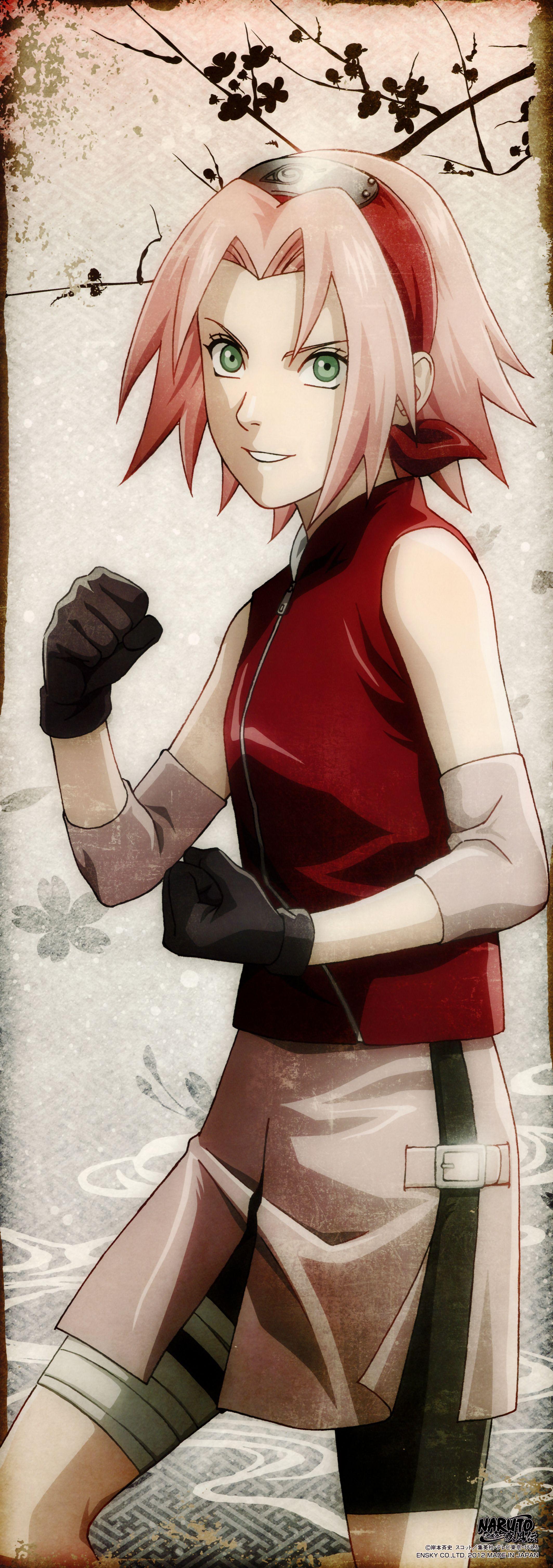 Sakura Haruno Wallpaper 60 images