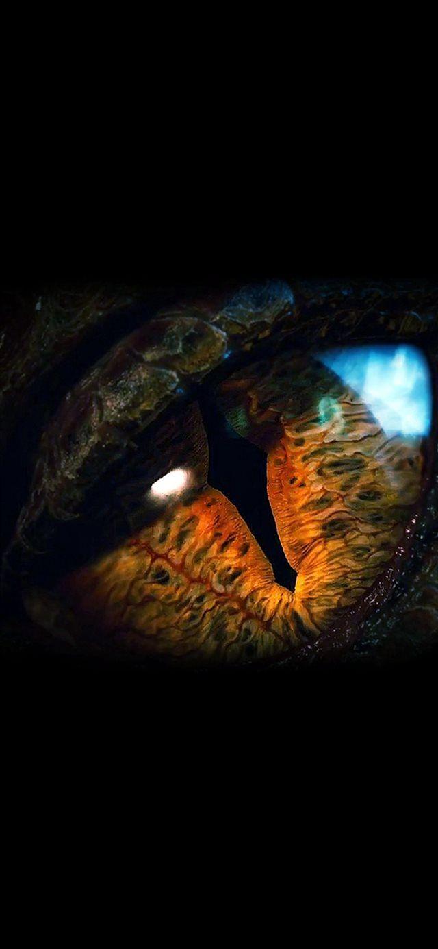 640x1385 Eye Dragon Film Hobbit iPhone wallpaper. Eyes wallpaper, Dark wallpaper iphone, Dragon eye