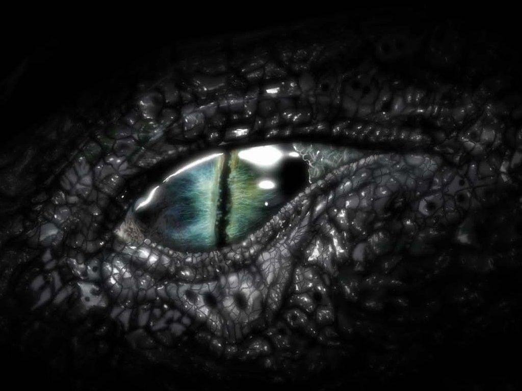 1024x768 Dragon eye, Eyes wallpaper, Dragon