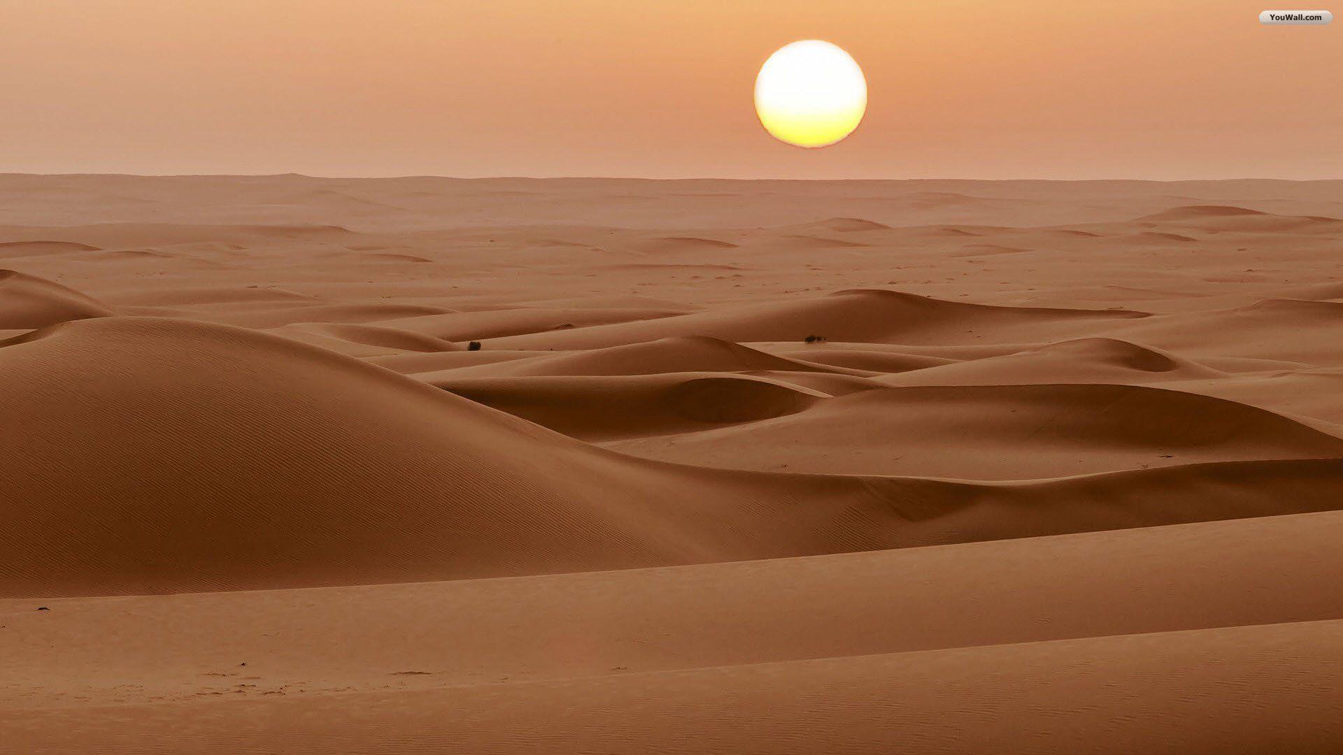 1920x1080 Evening Sunset Desert #Wallpaper