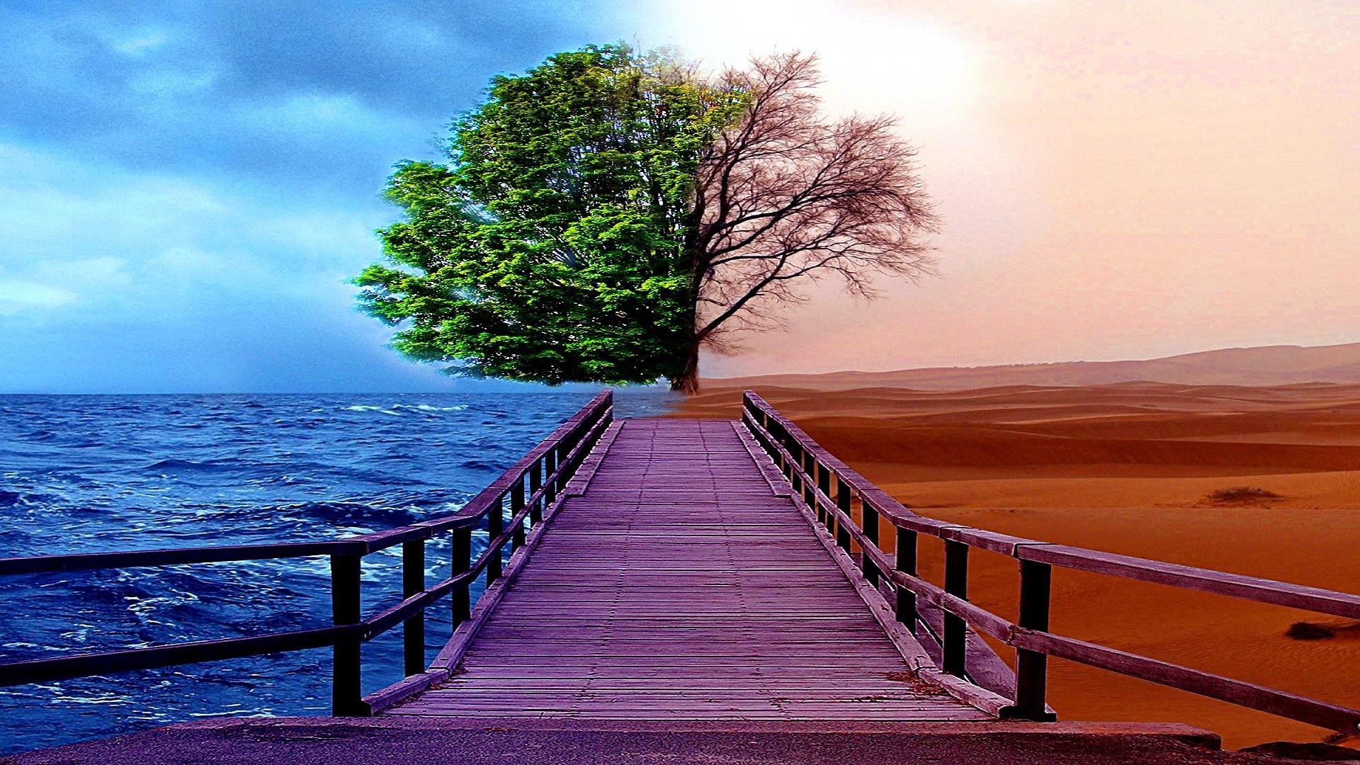 1920x1080 Pier And Tree Between Sea And Desert Wallpaper. Wallpaper Studio 10