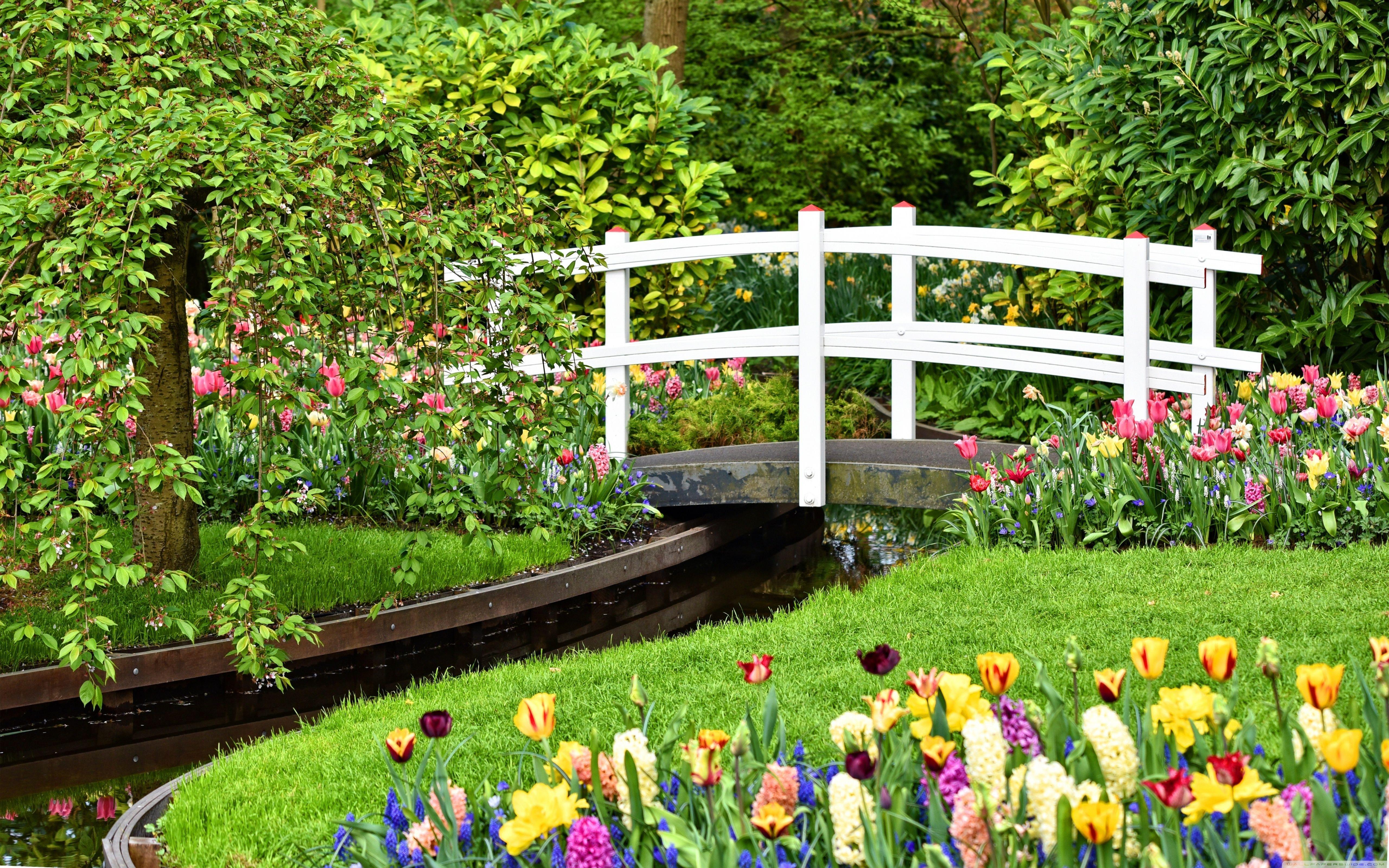 5120x3200 Spring Flower Garden Wallpaper