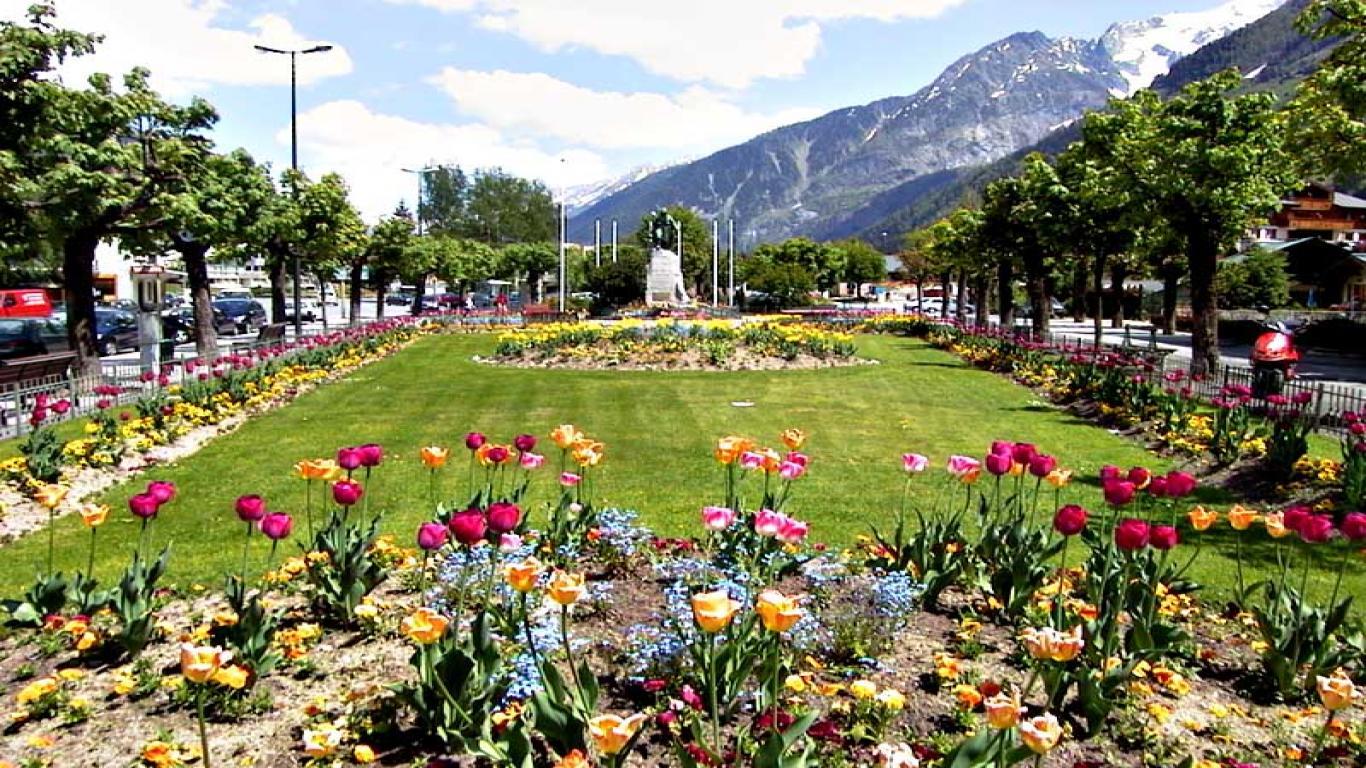 1366x768 Flower Garden Wallpaper Free Hd For Desktop