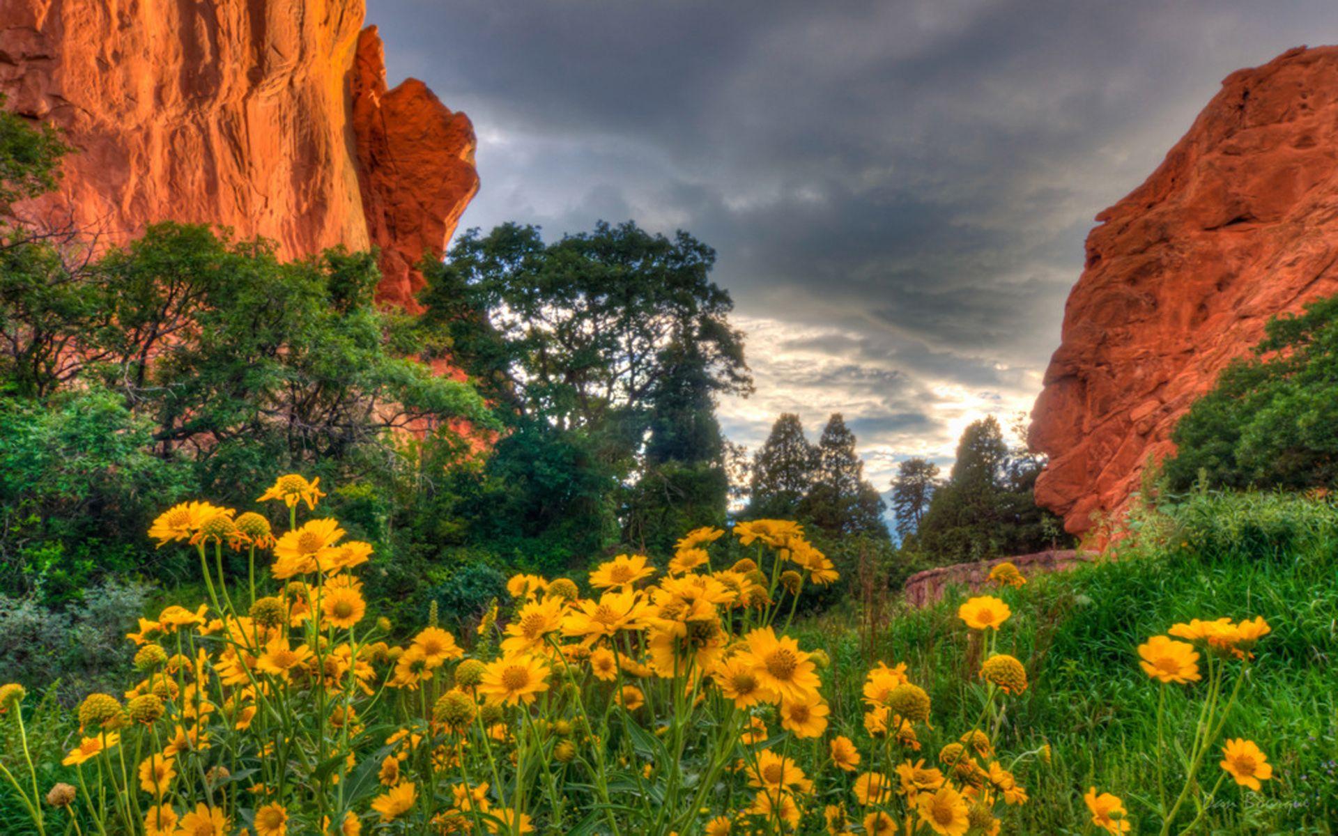 Spring Flower Garden Desktop Wallpapers - Top Free Spring Flower Garden ...