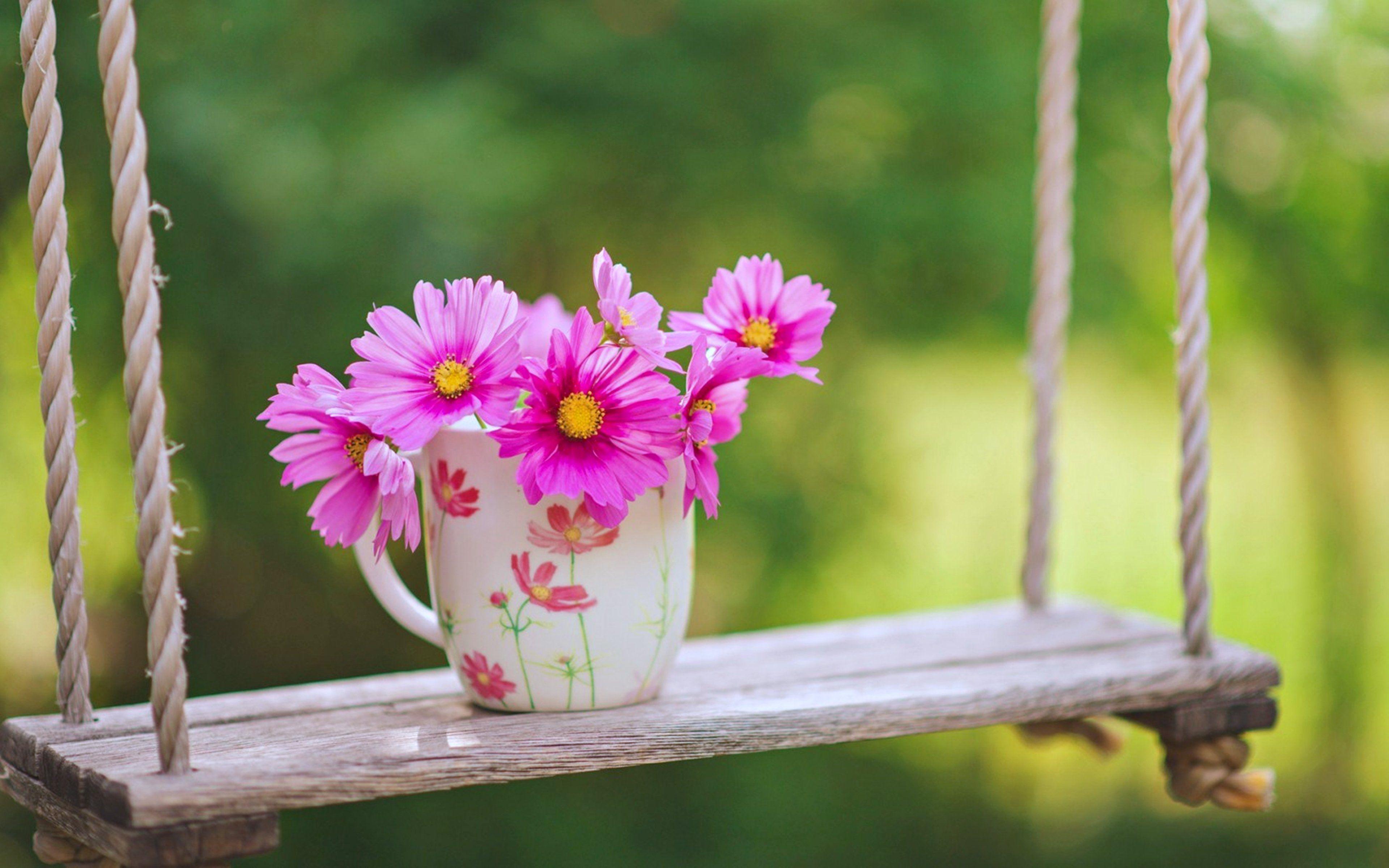 3840x2400 Beautiful Real Romantic Scenery Wallpaper HD Nature Image