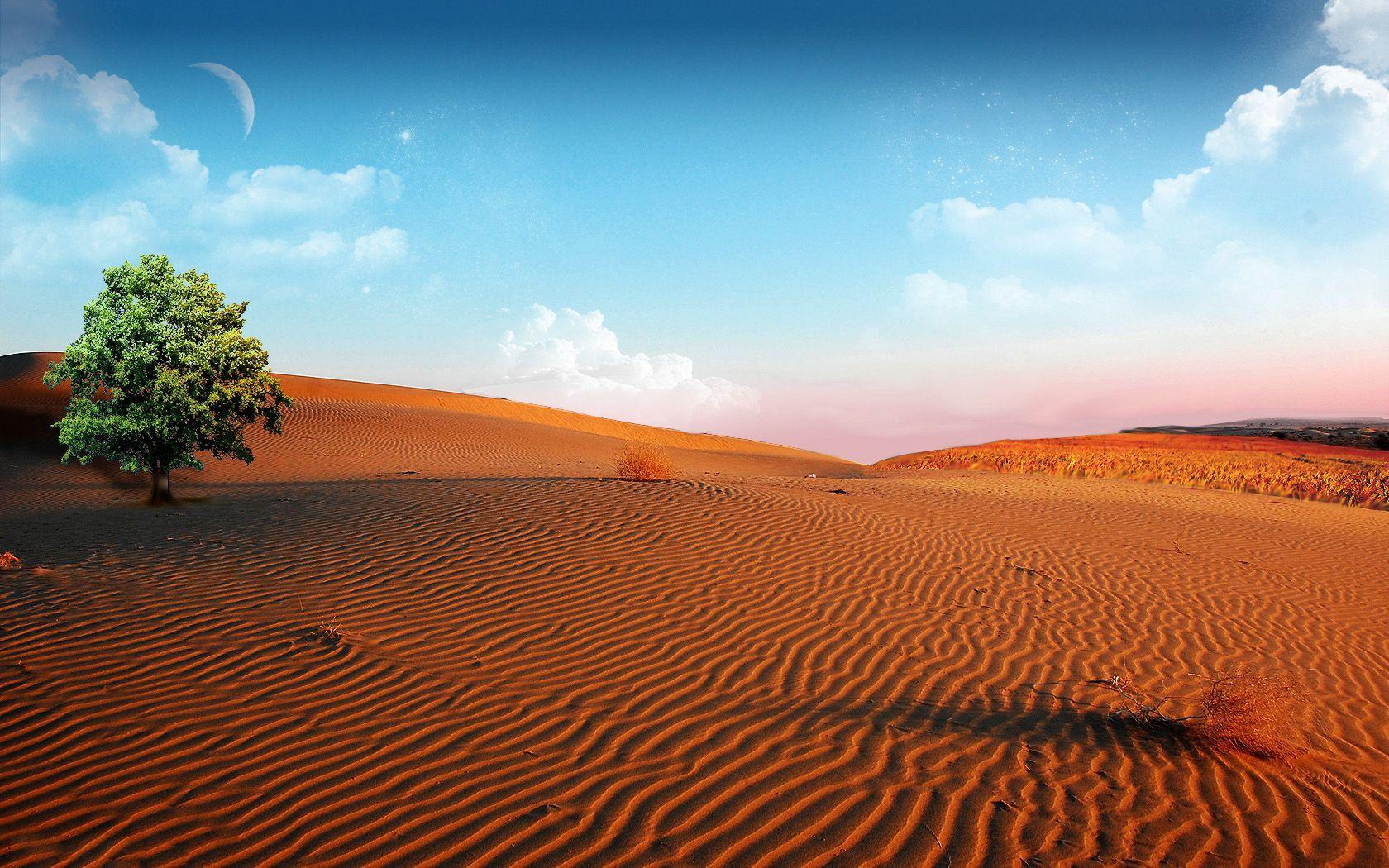 1680x1050 Desert Wallpaper High Definition Wallpaper