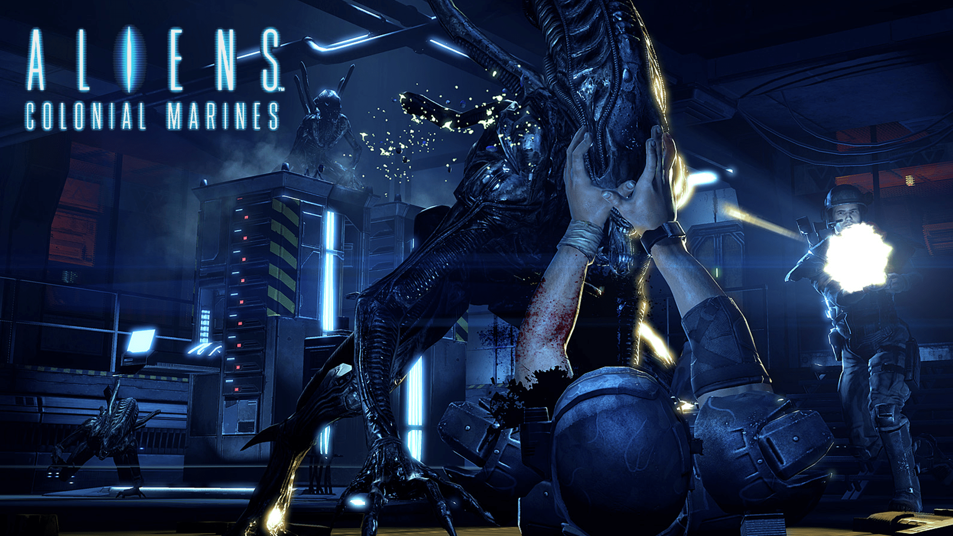 1920x1080 Free download Aliens Colonial Marines Wallpaper yuiphone Alien Pin Down 1920x1080 [1920x1080] for your Desktop, Mobile & Tablet. Explore Aliens Colonial Marines Wallpaper. Marines Wallpaper HD, Alien Queen Wallpaper