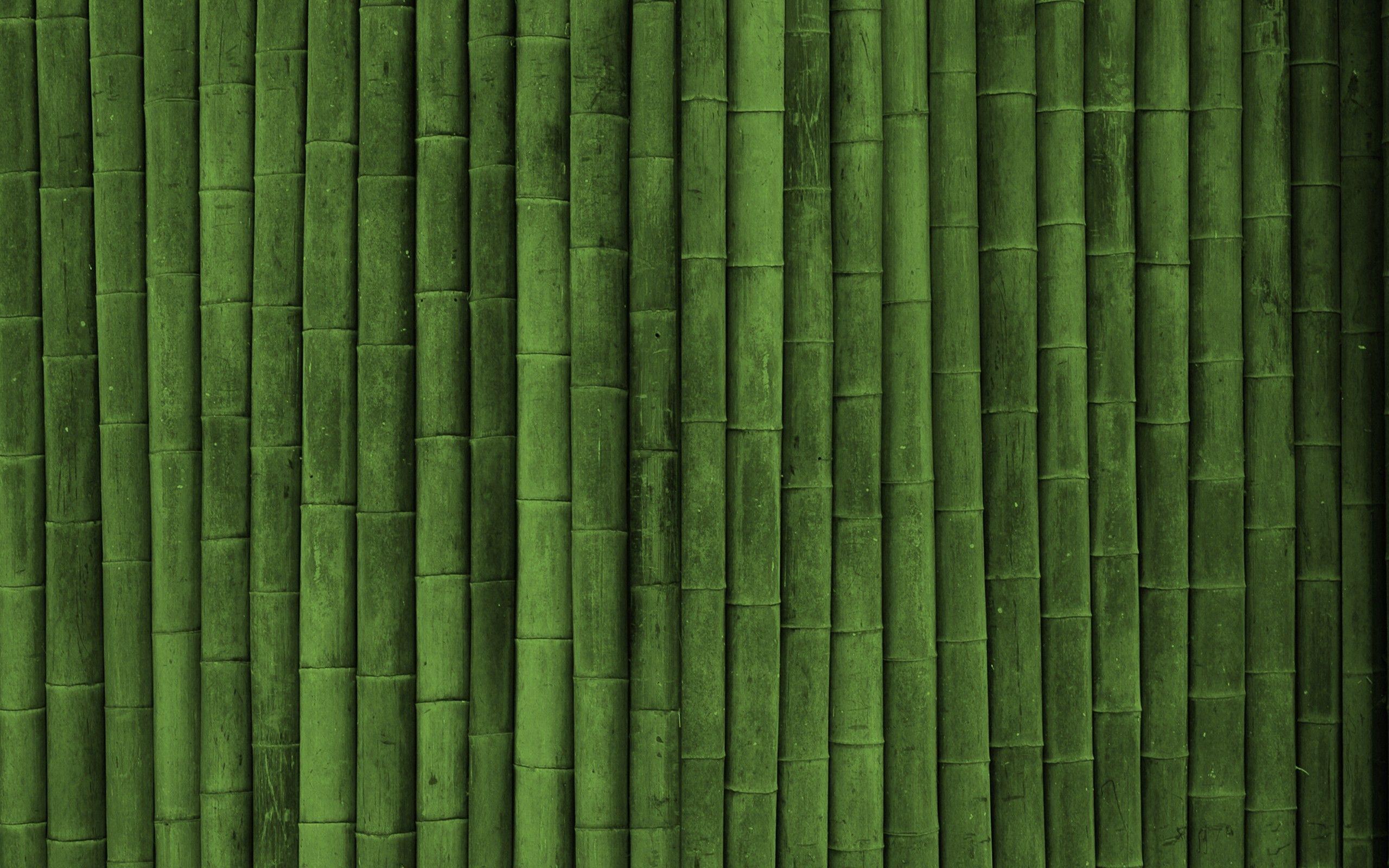 2560x1600 minimalism, Bamboo HD Wallpaper / Desktop and Mobile Image & Photo