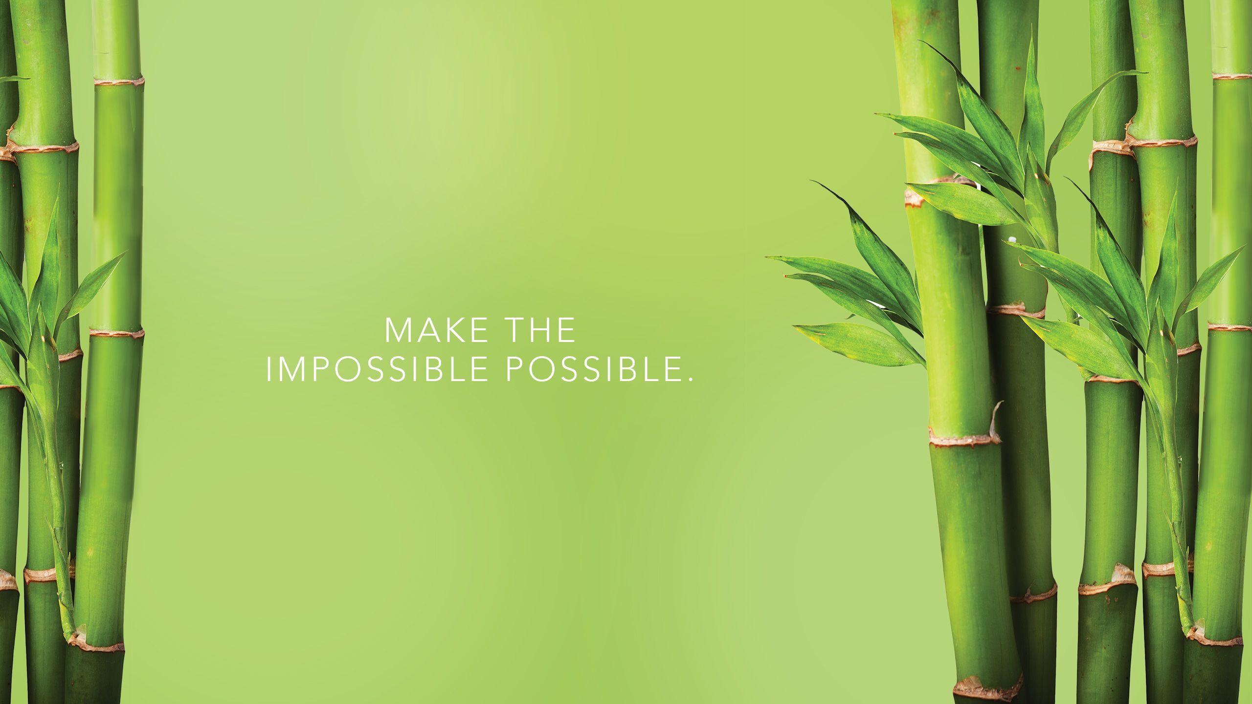 2560x1441 Wallpaper Bamboo 2560x1440 Desktop. Wallpaper crafts, Bamboo wallpaper, Bamboo background