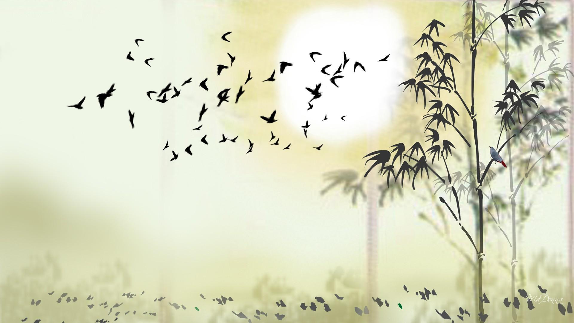 1920x1080 Bamboo Wallpaper HD