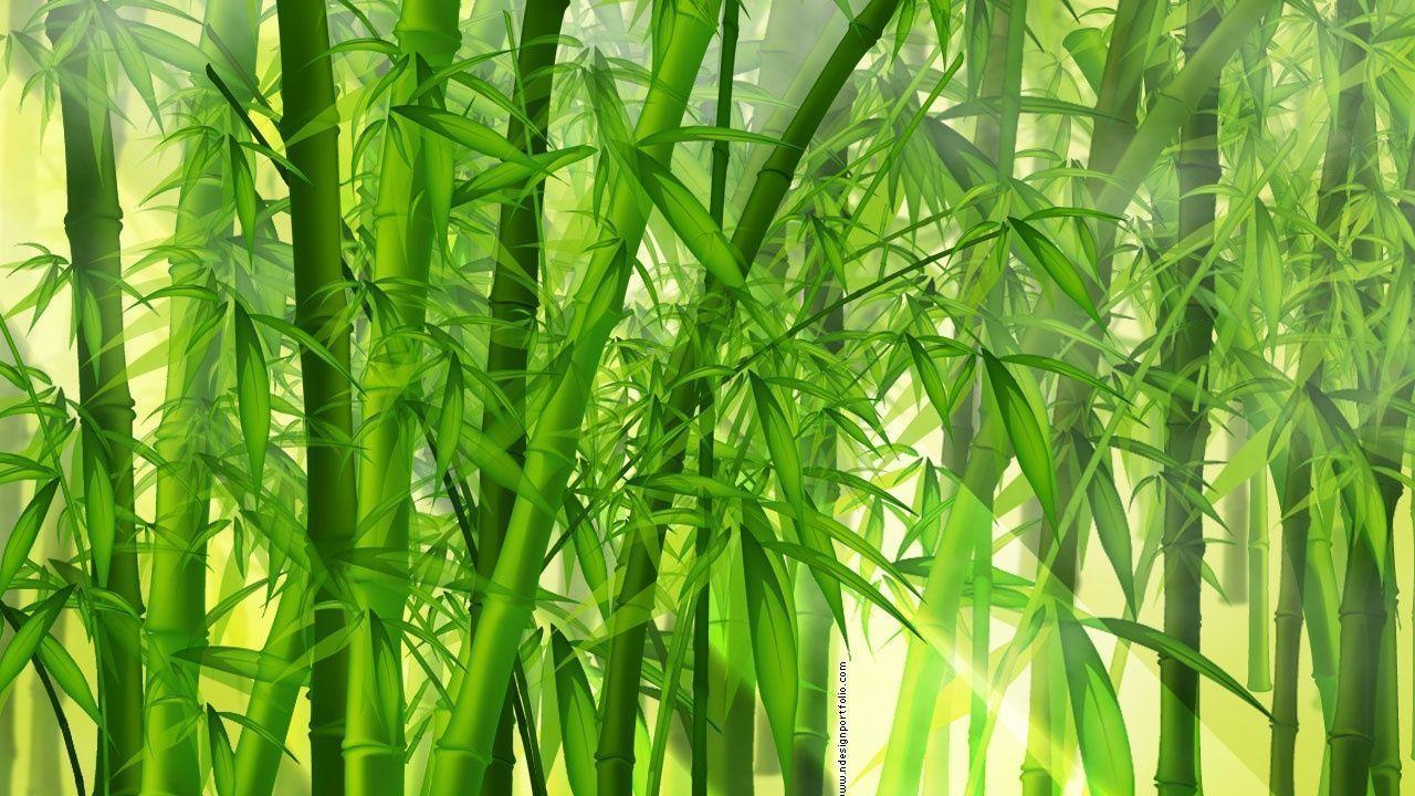 1280x720 Bamboo clipart bamboo wallpaper, Bamboo bamboo wallpaper Transparent FREE for download on WebStockReview 2021