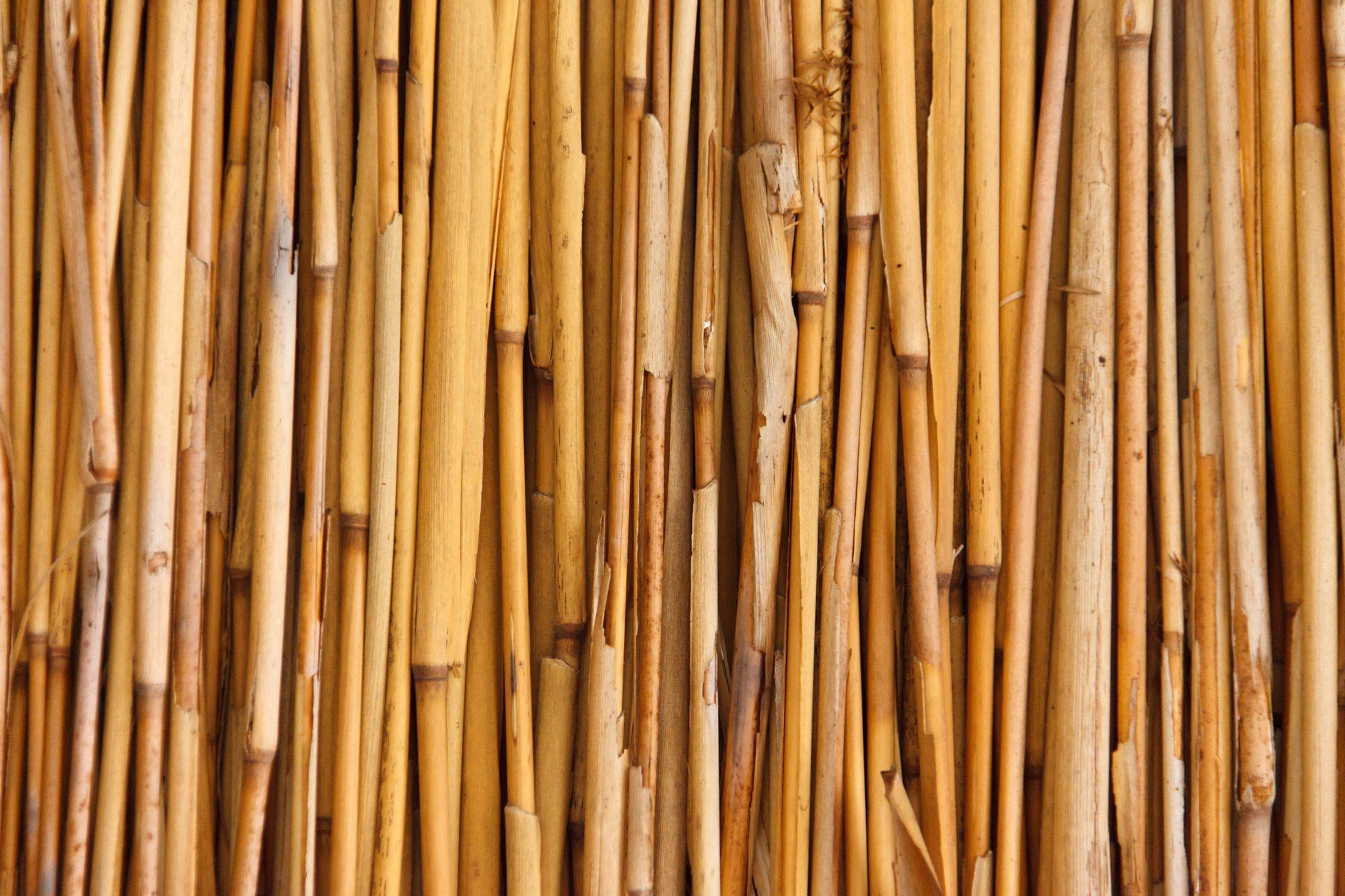 Simple Bamboo HD Wallpapers - Top Free Simple Bamboo HD Backgrounds ...