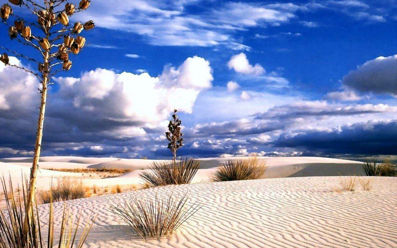 1280x800 Desert Wallpaper Photo Wallpaper