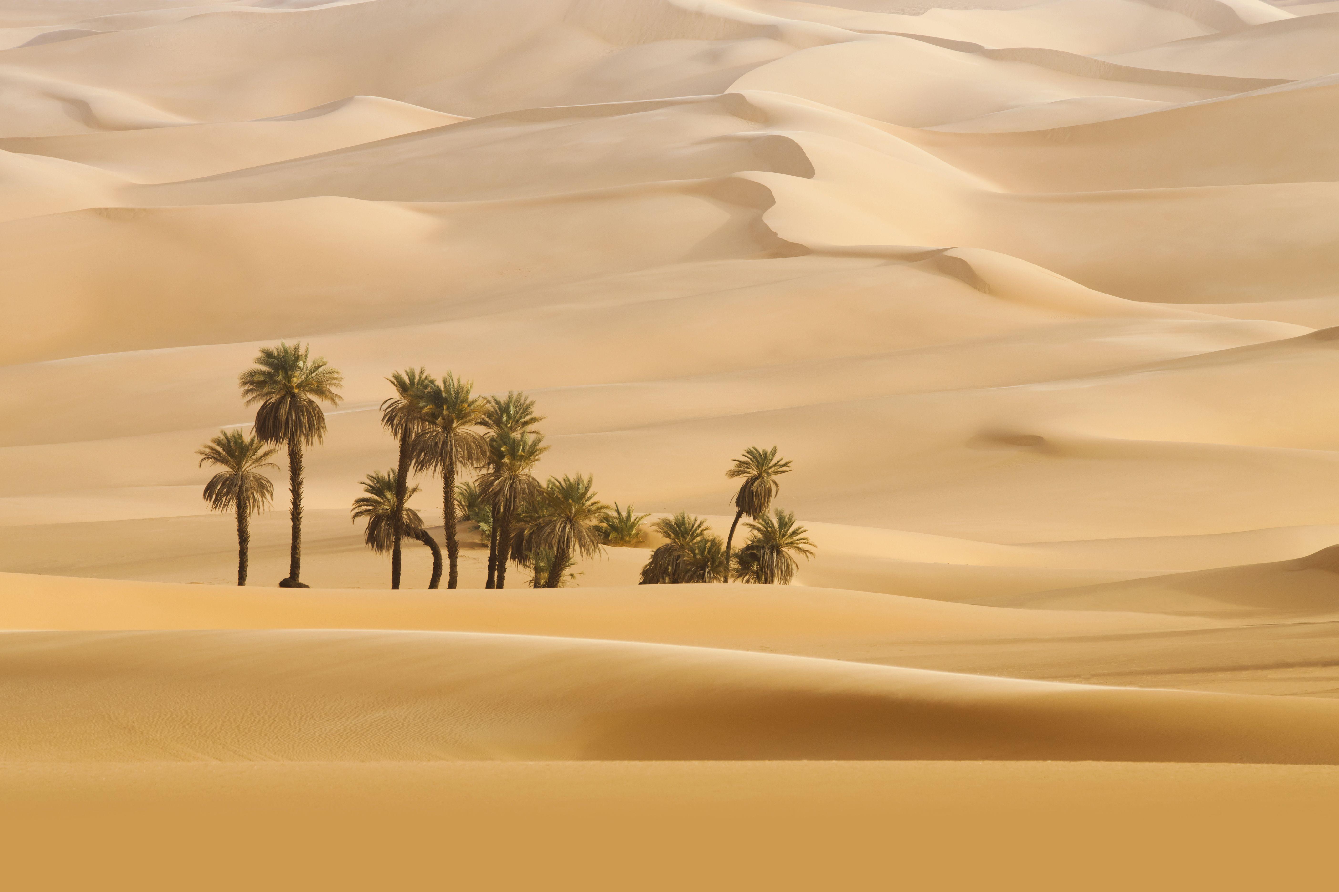 Desert Cartoon Wallpapers Top Free Desert Cartoon Backgrounds