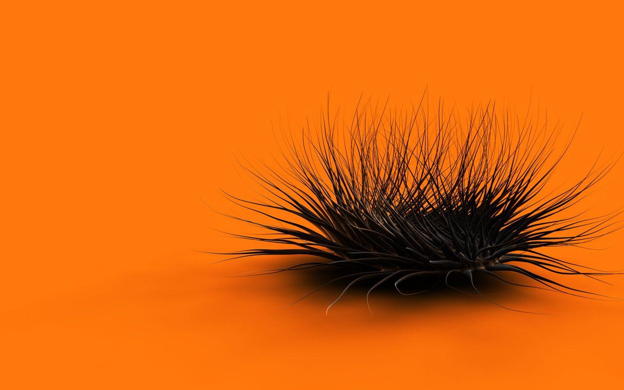 1280x800 UCreative.com Tremendous 3D Wallpaper for your Inspiration