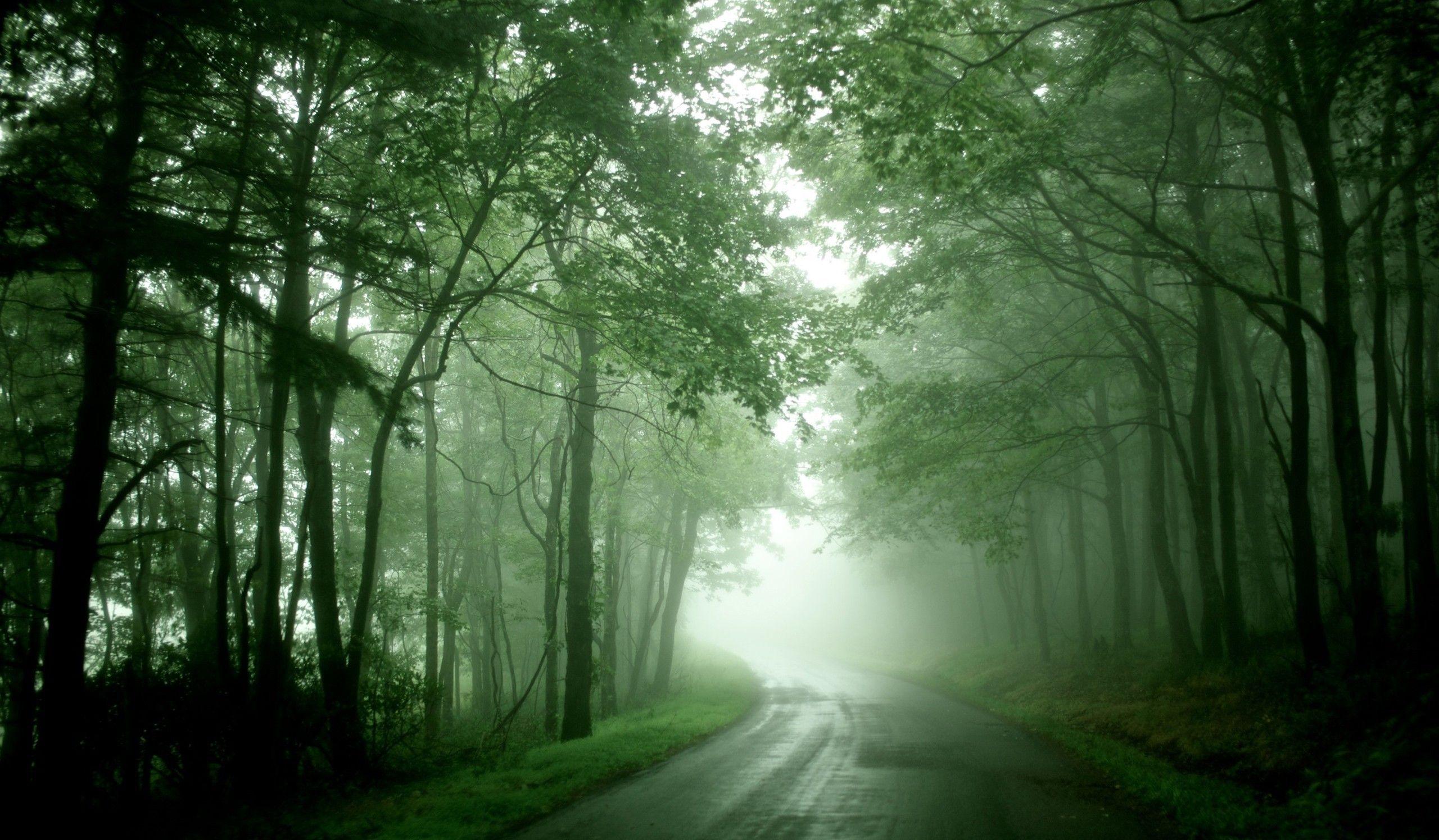 2560x1496 Wallpaper Tremendous in Full HD. Nature wallpaper, Nature photo, Nature